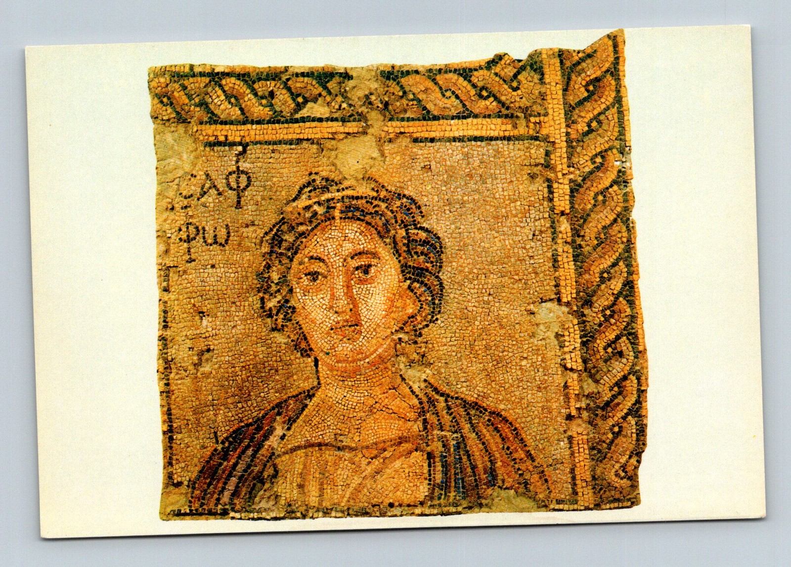Greece Sparta 1960s Museum of Sparta - Postcard Greece Sparta 1960s Museum of Sparta - Postcard