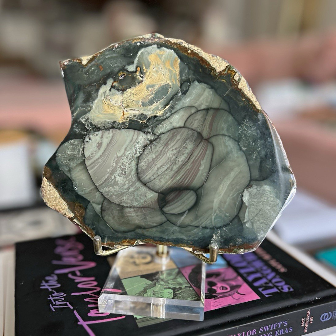 Blue Mountain Jasper Polished Slab Slice