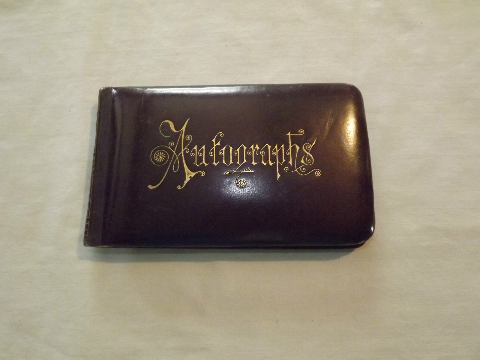VINTAGE 1887-1892 MIDDLEBURGH FULTONHAM TROY MATTICE MIDDLEBURGH AUTOGRAPH BOOK