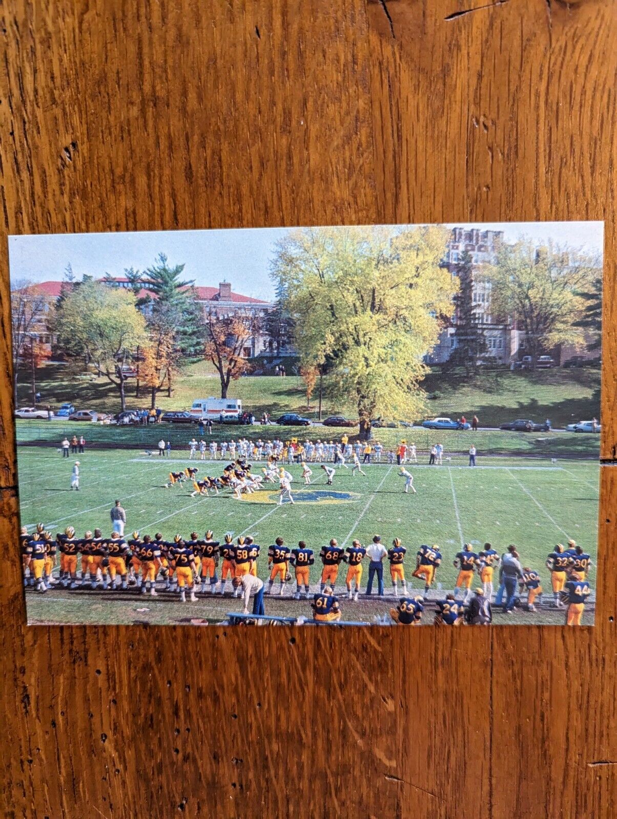 1982 MN Northfield Carleton College LAIRD FIELD Football Game 4x6 postcard CT29