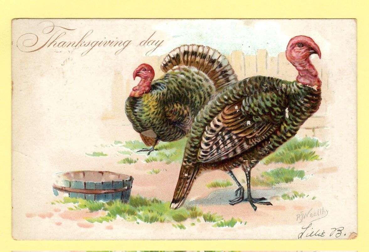 Vintage Embossed Thanksgiving Day Two Turkeys Fence Area 1908 Tucks A/S Postcard