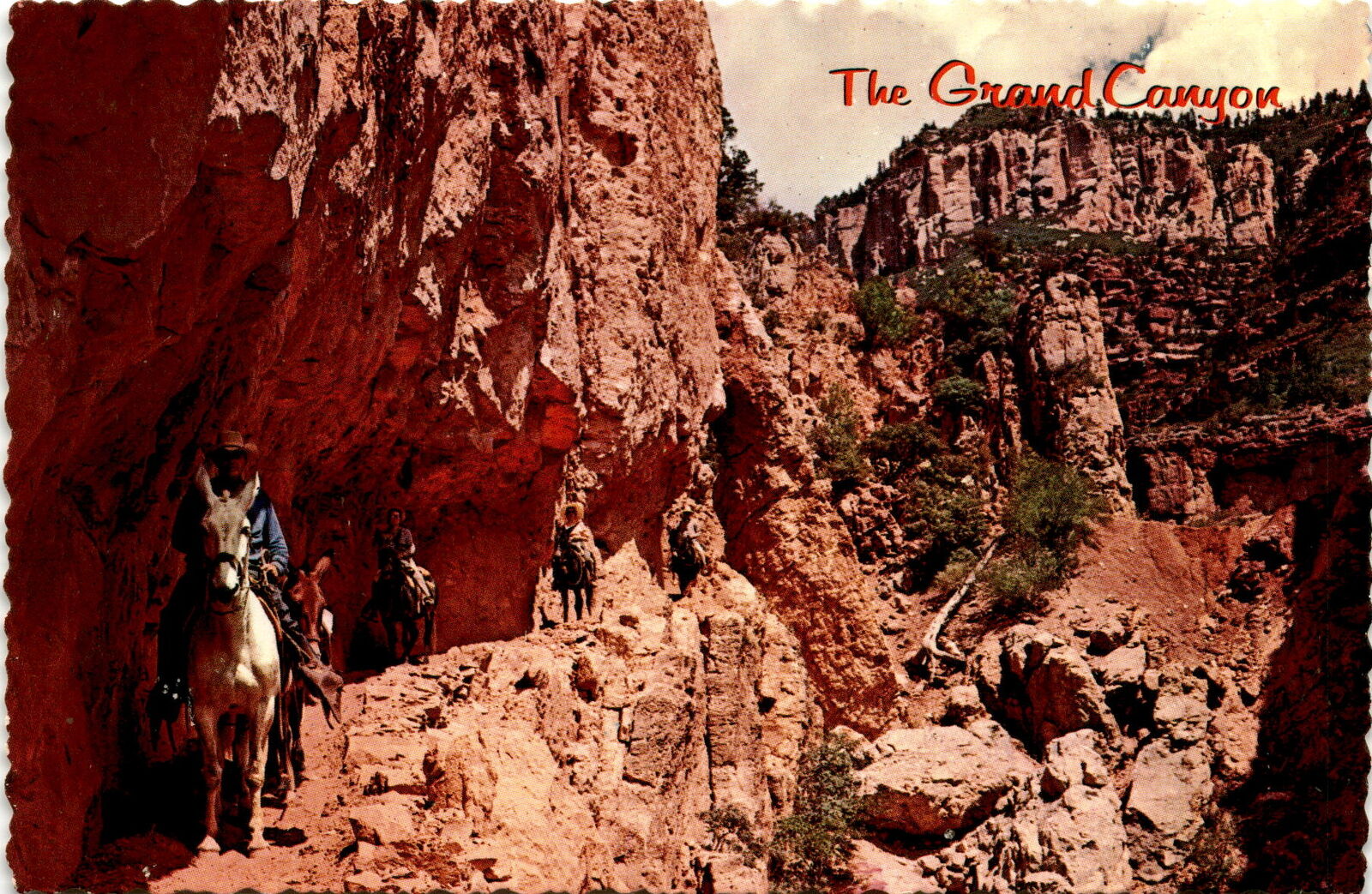 Vintage Postcard: Mule Trip through Needles Eye, Grand Canyon