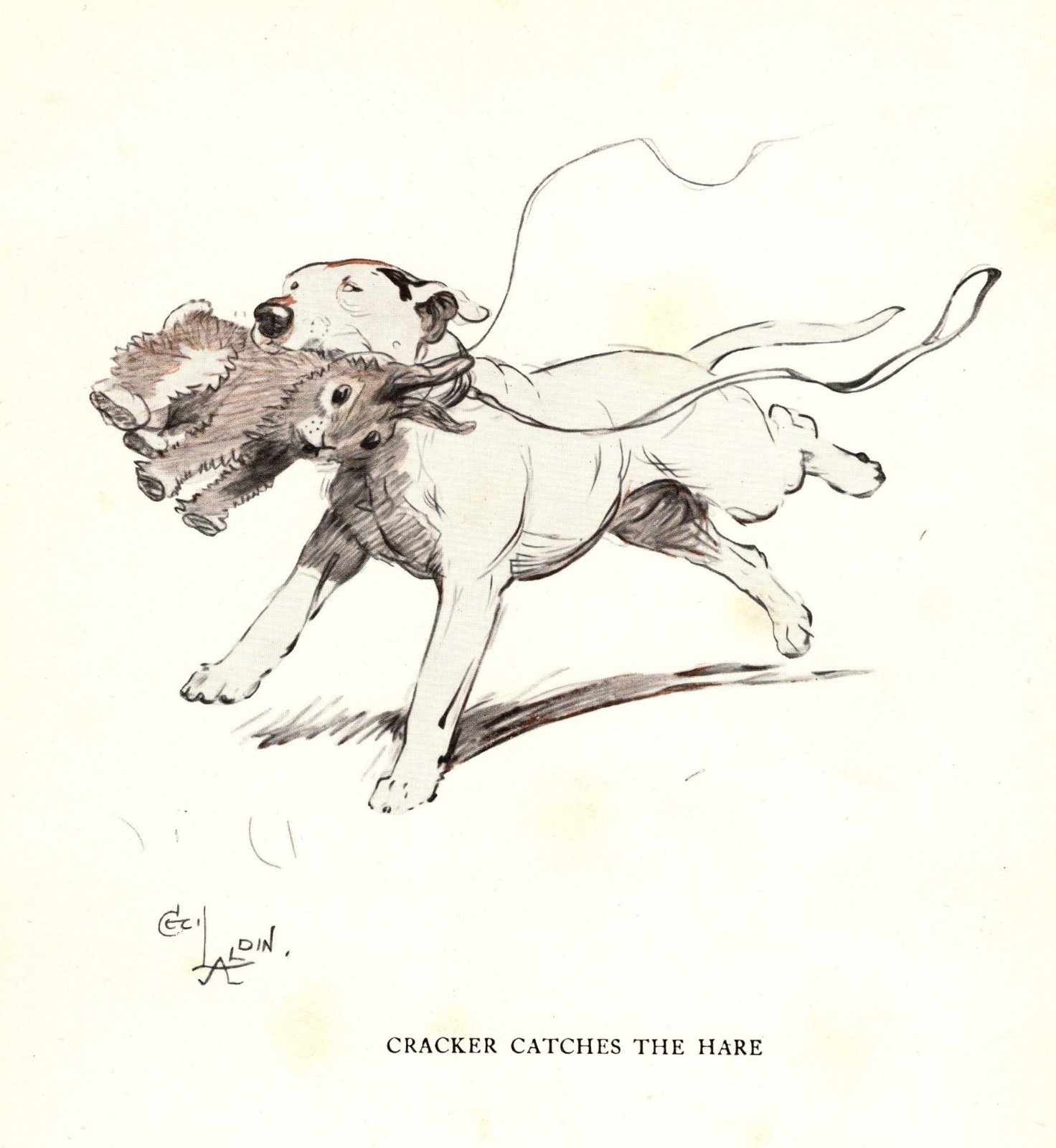 Cecil Aldin Bull Terrier Print 1930s Bull Terrier & Rabbit Illustration 7085c