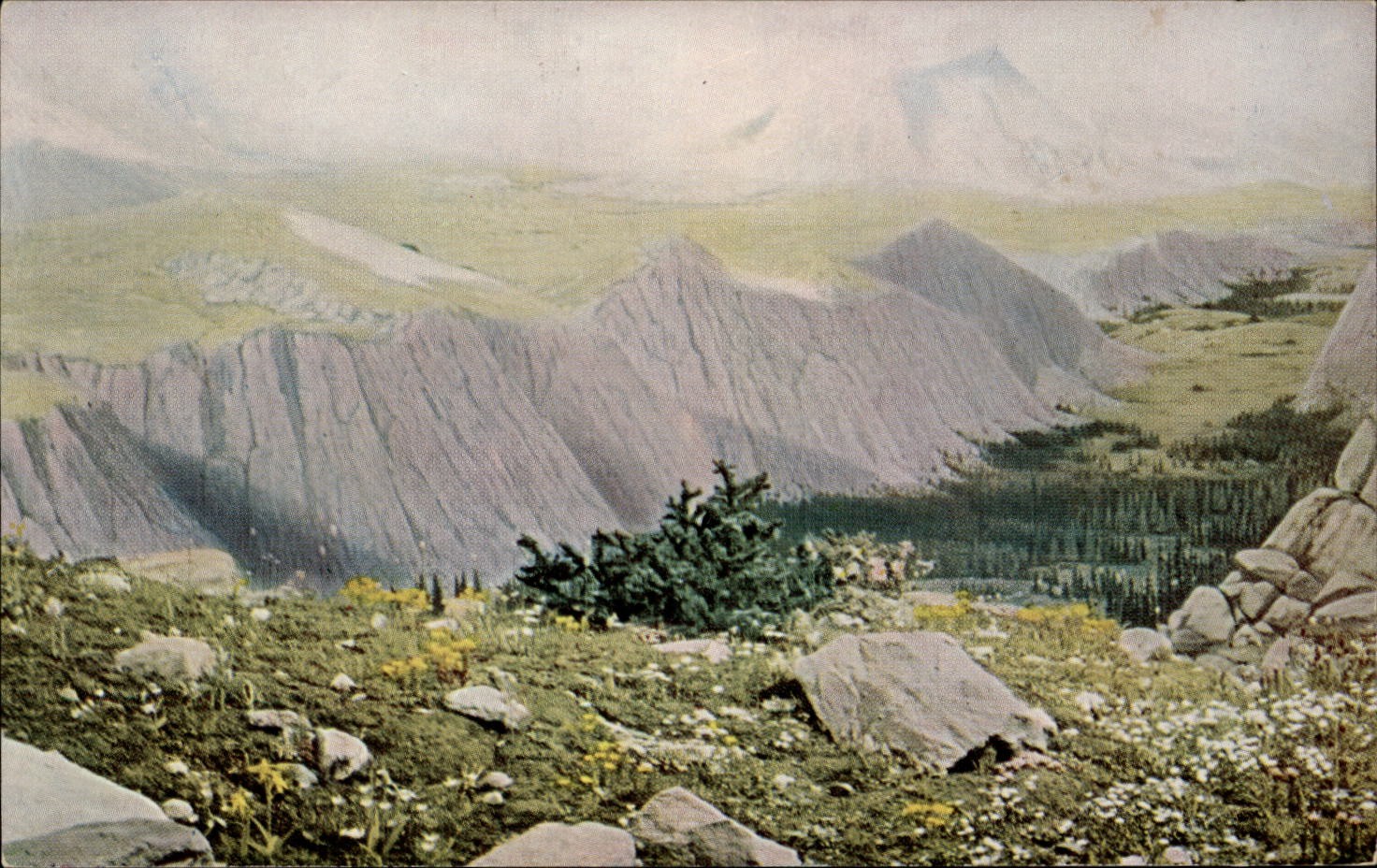 Medicine Bow Range Alpine Meadow WY mountain vintage postcard f470