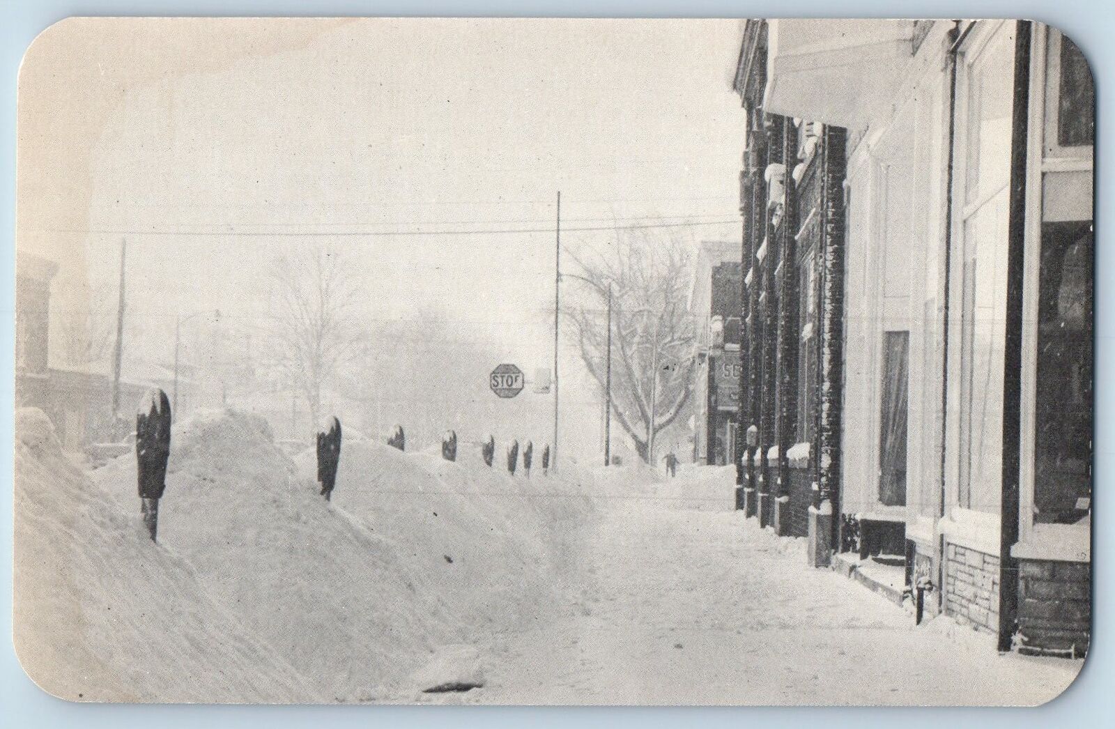 Berrien Springs Michigan MI Postcard The Big Snow Of 1958 Scenic View c1960\'s