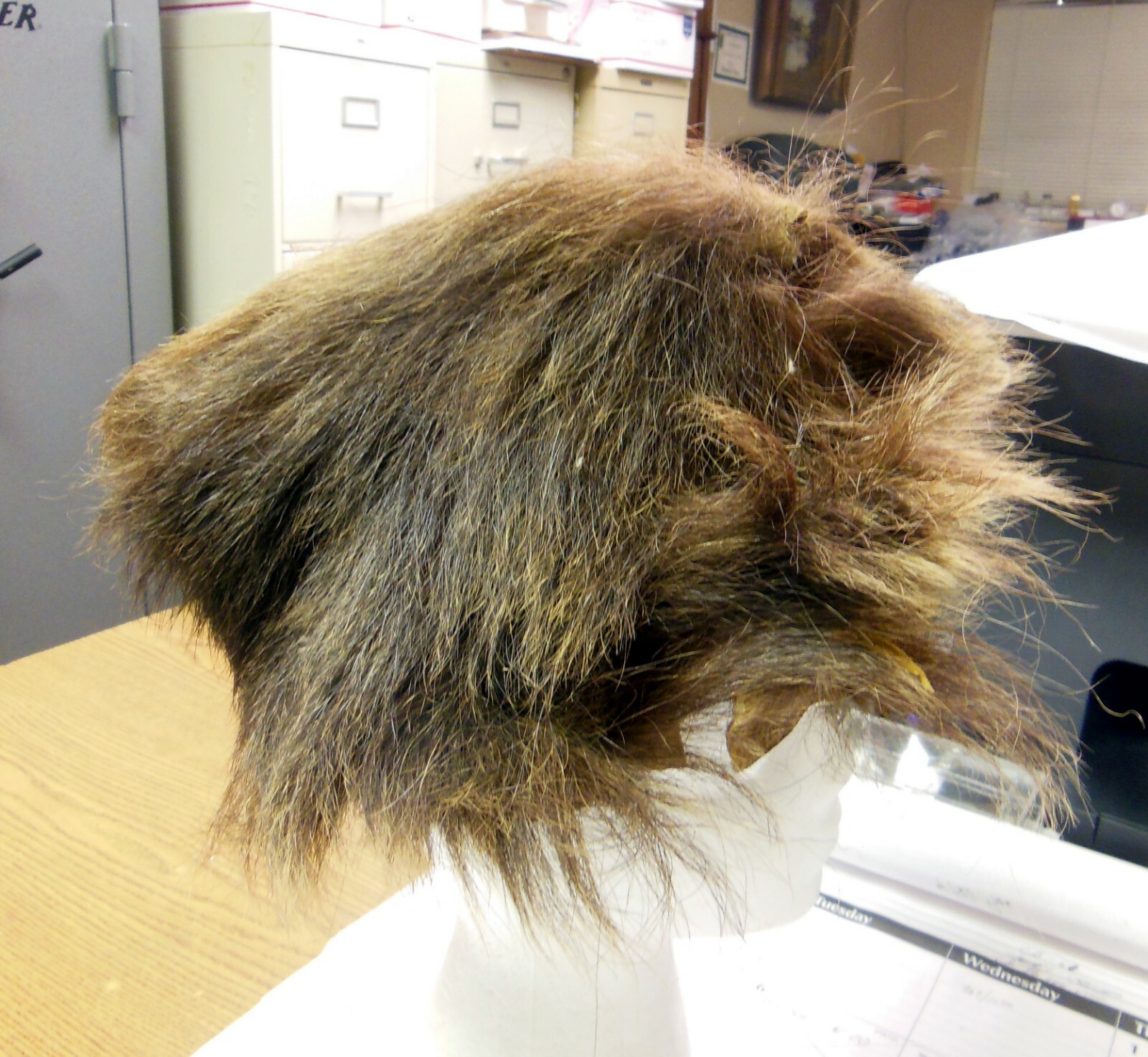 Antique Native American One of a Kind, Mandan Buffalo Hair and Skin Head Dress.