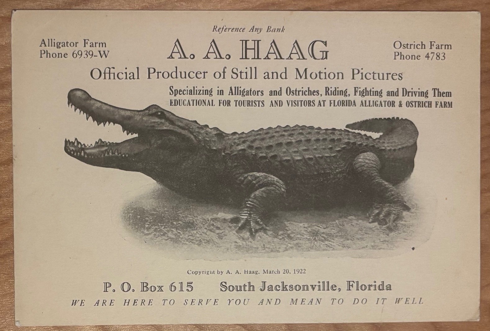 Vintage 1923 Jacksonville Florida Alligator Photographer Advertising Card RARE Vintage 1923 Jacksonville Florida Alligator Photographer Advertising Card RARE