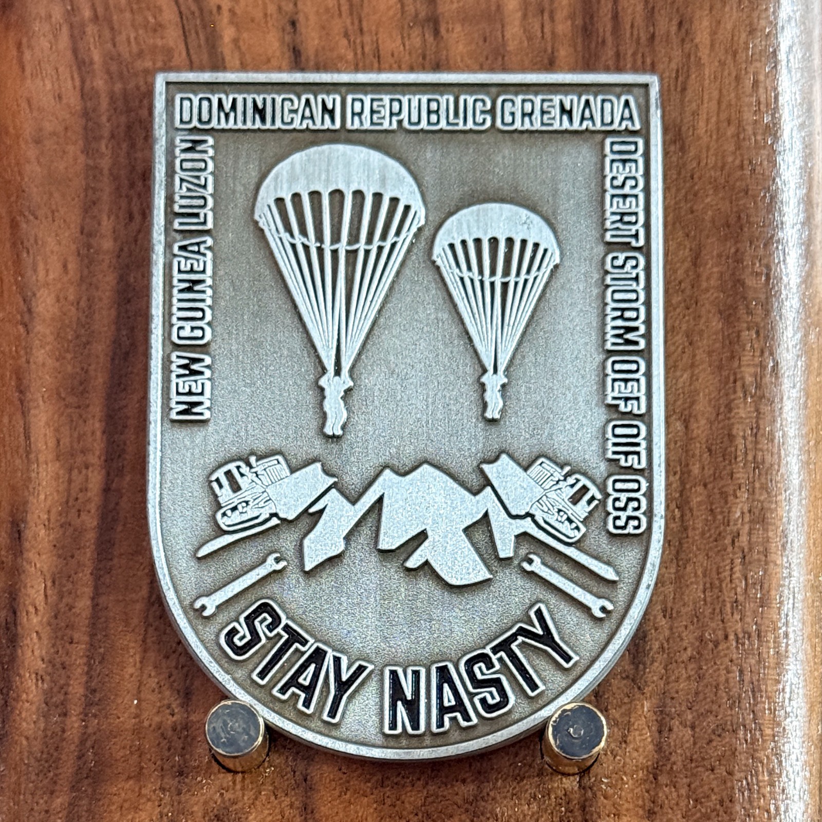 618th ESC(A) Stay Nasty Paratrooper Military Challenge Coin  W#29