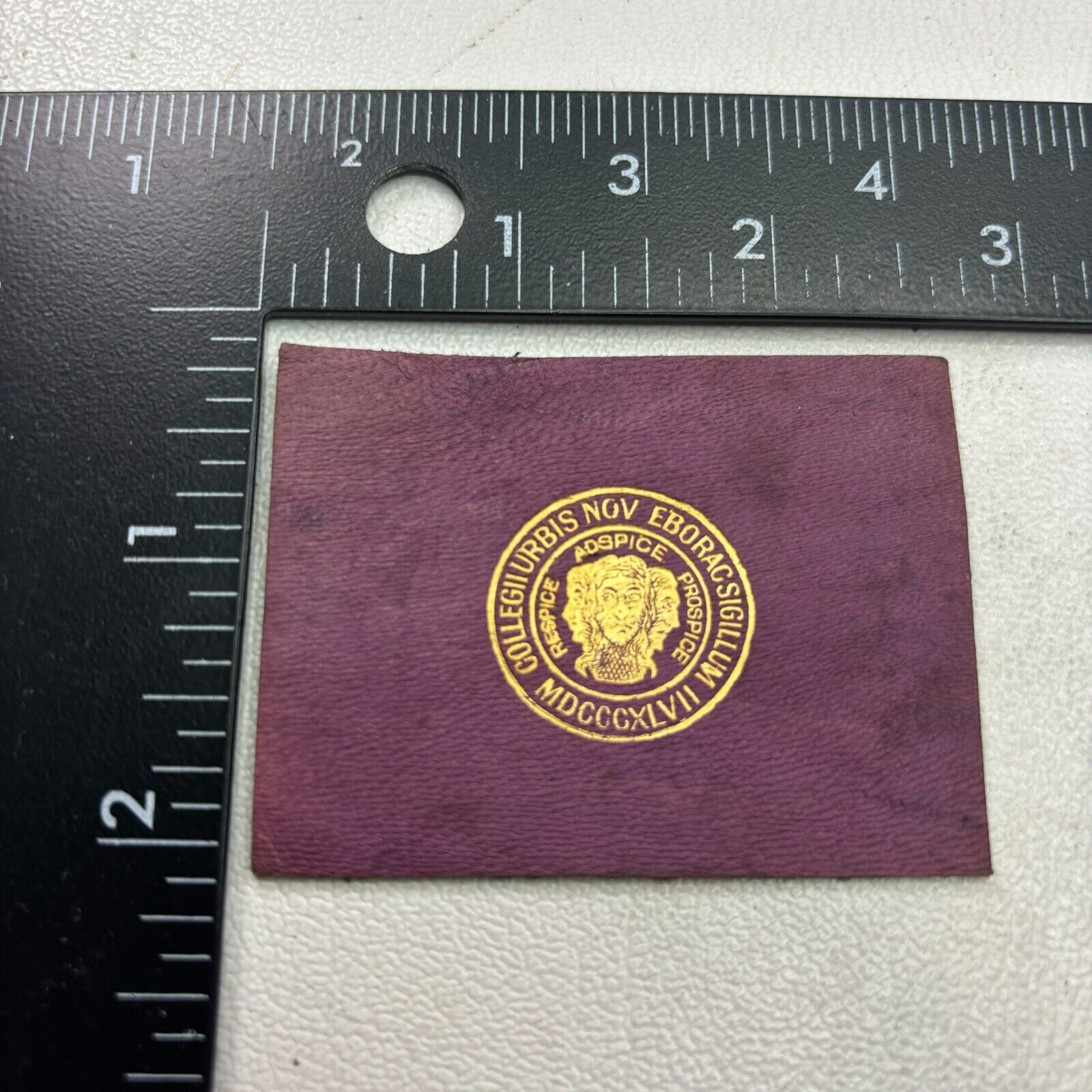 Vintage c 1910s SEAL OF CITY COLLEGE OF NEW YORK Tobacco Leather Patch 39RI