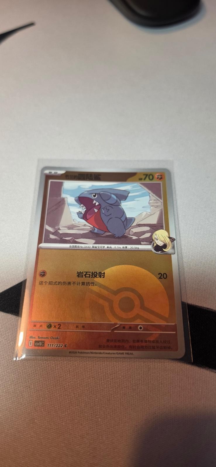 Cynthia's Gible (Poke Ball Reverse) 111 Chasing Glory Together Pokemon Chinese NM Cynthia's Gible (Poke Ball Reverse) 111 Chasing Glory Together Pokemon Chinese NM