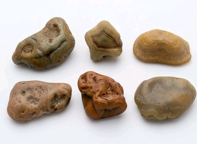 Agate Variety Bundle Gift Specimen Tennessee Memphis