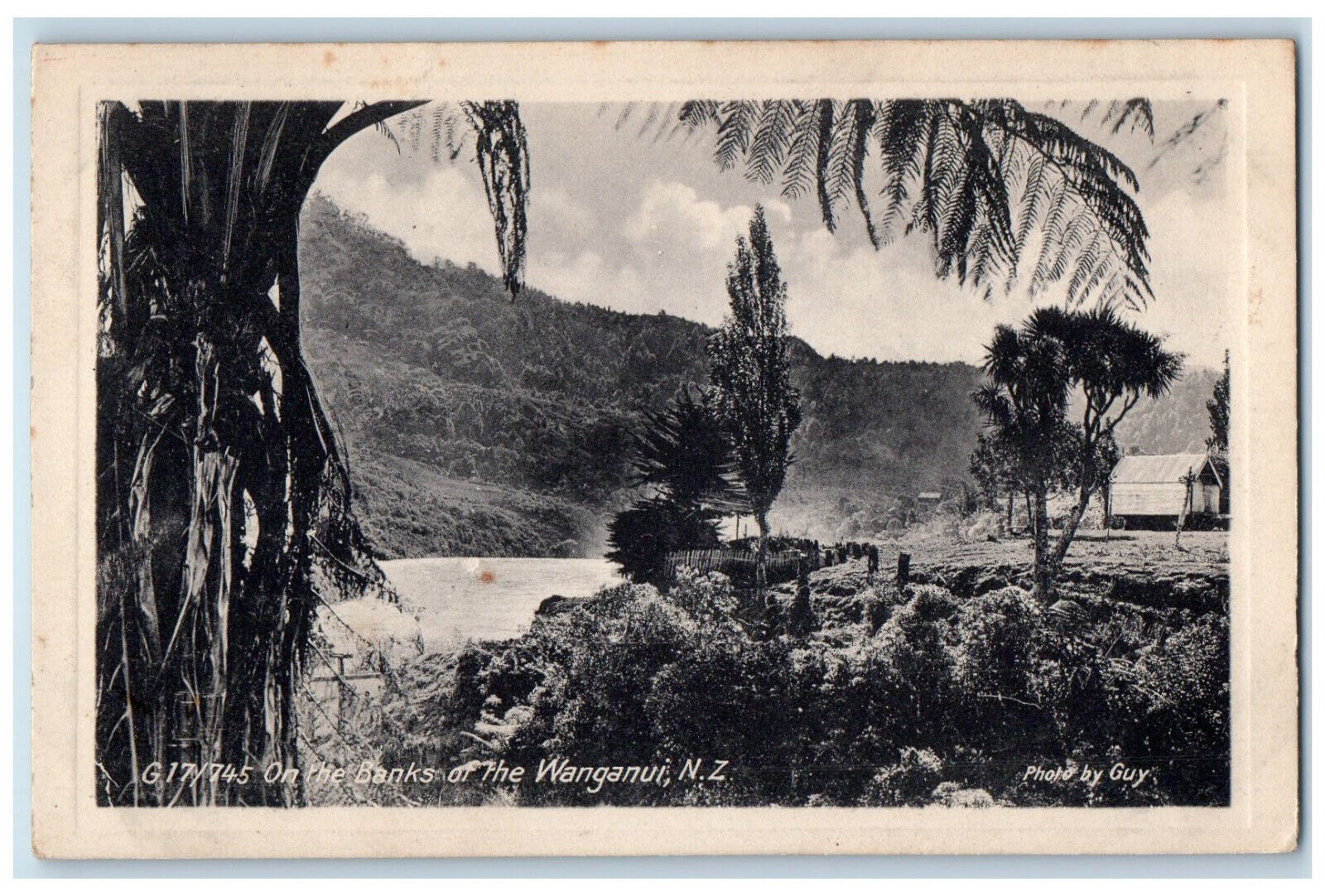 c1920\'s On The Banks of the Wanganui New Zealand Unposted Maoriland Postcard
