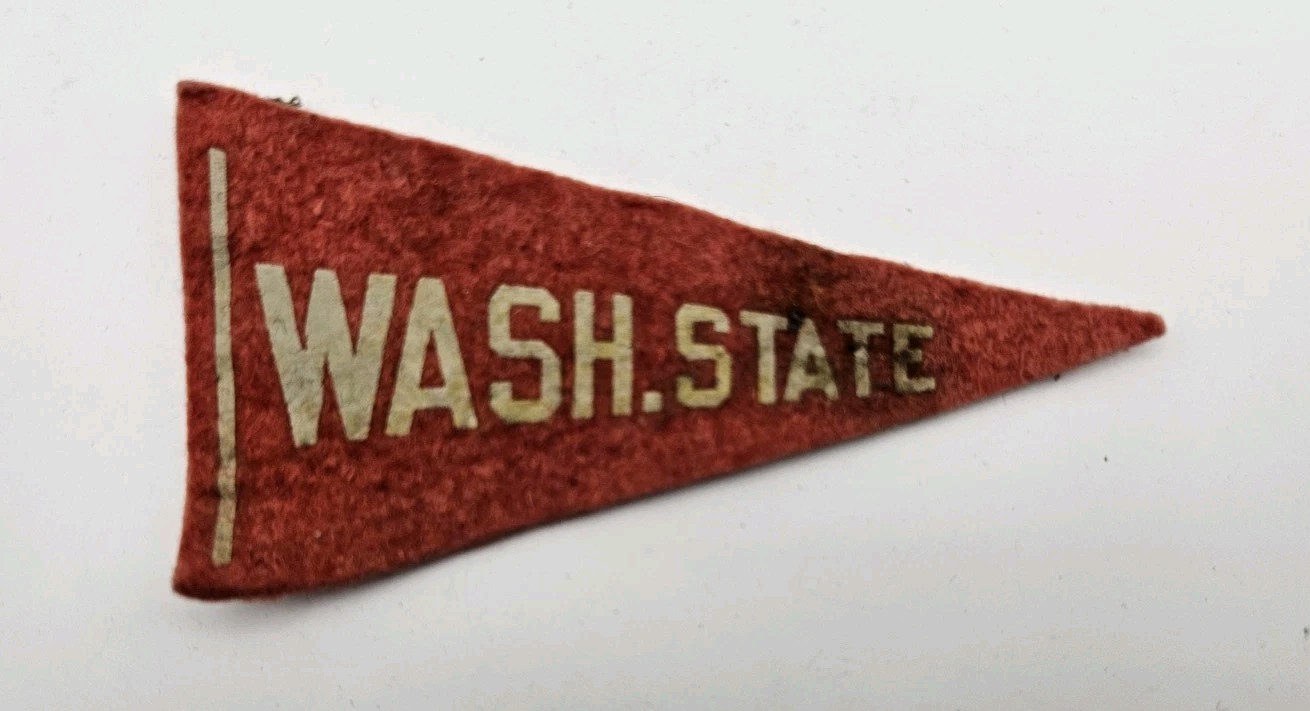 Early Vintage Washington State Felt Pennant