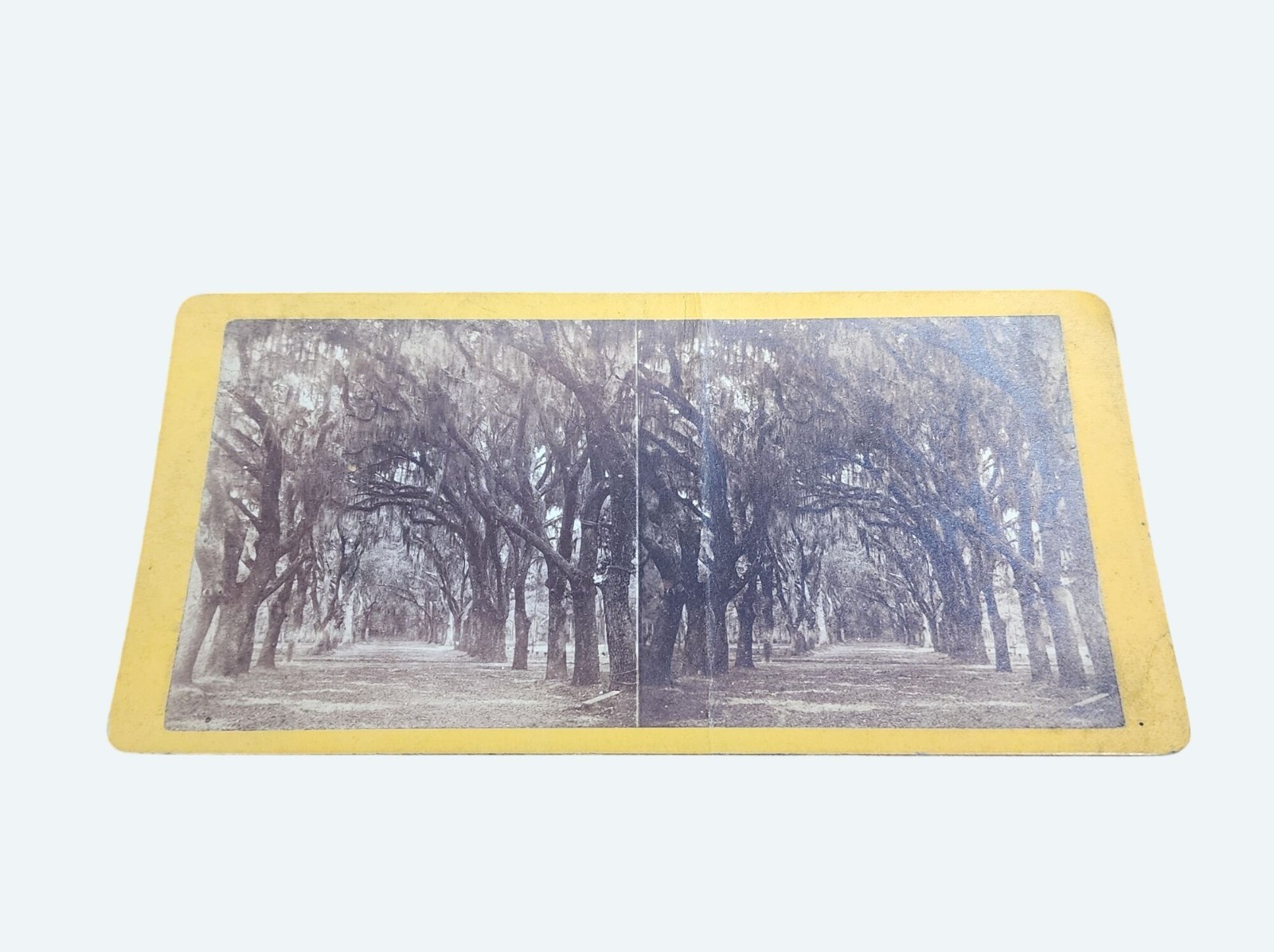 Antique Stereoview Bonaventure Cemetery By Wilson & Havens Savannah GA No 82