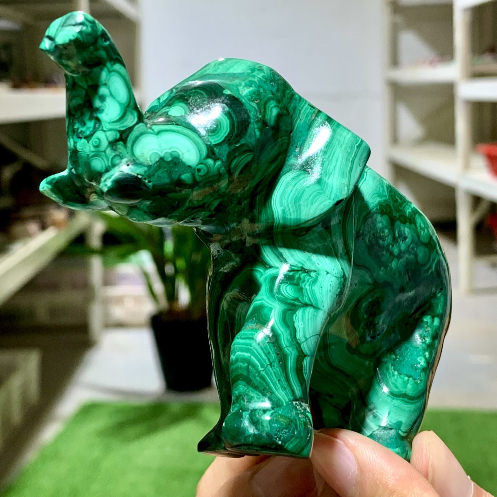 503G Natural Malachite transparent Handcarved elephant Crystal cluster mineral