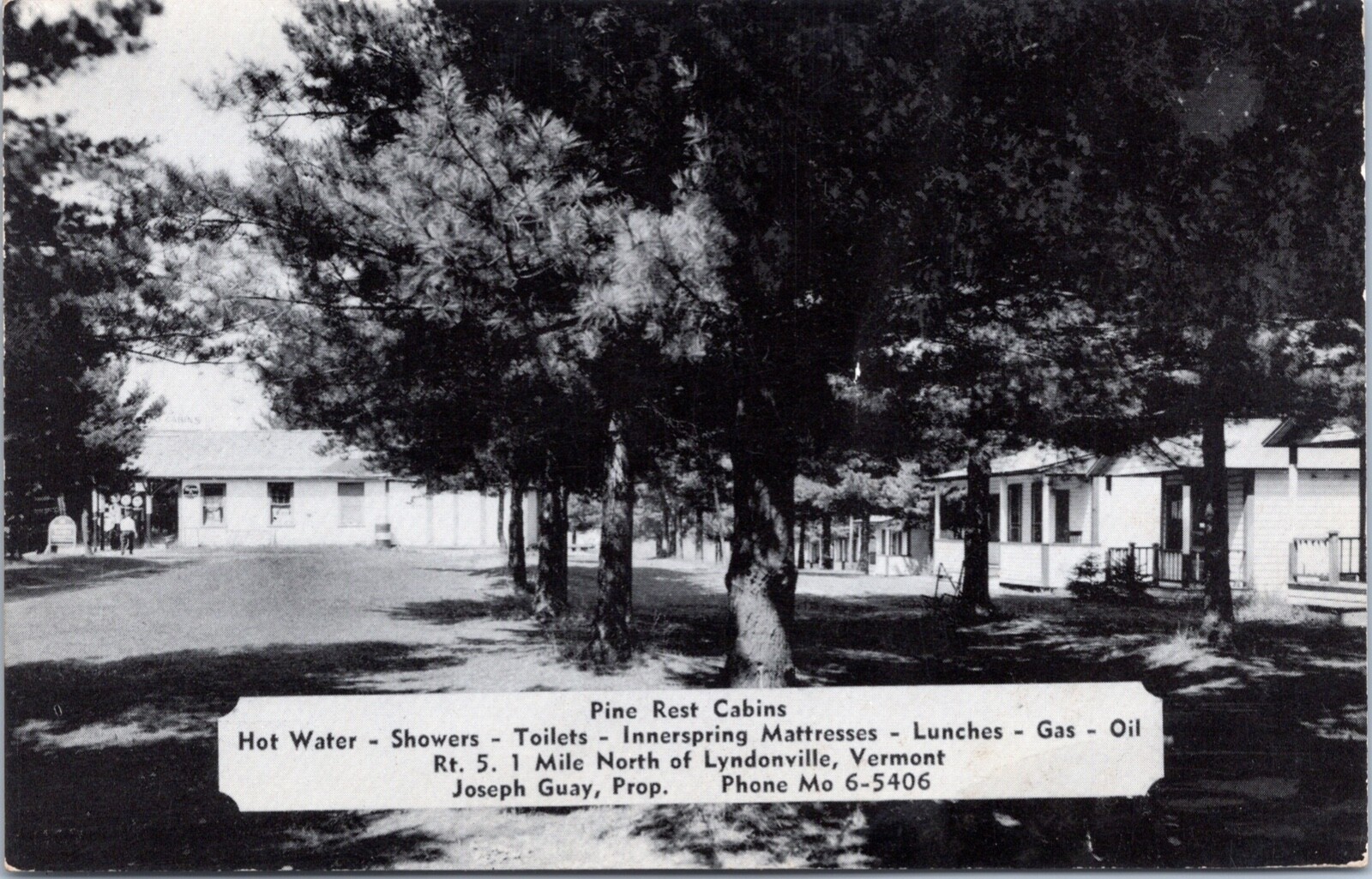 RPPC Pine Rest Cabins North Of Lyndonville , Vermont Postcard RPPC Pine Rest Cabins North Of Lyndonville , Vermont Postcard