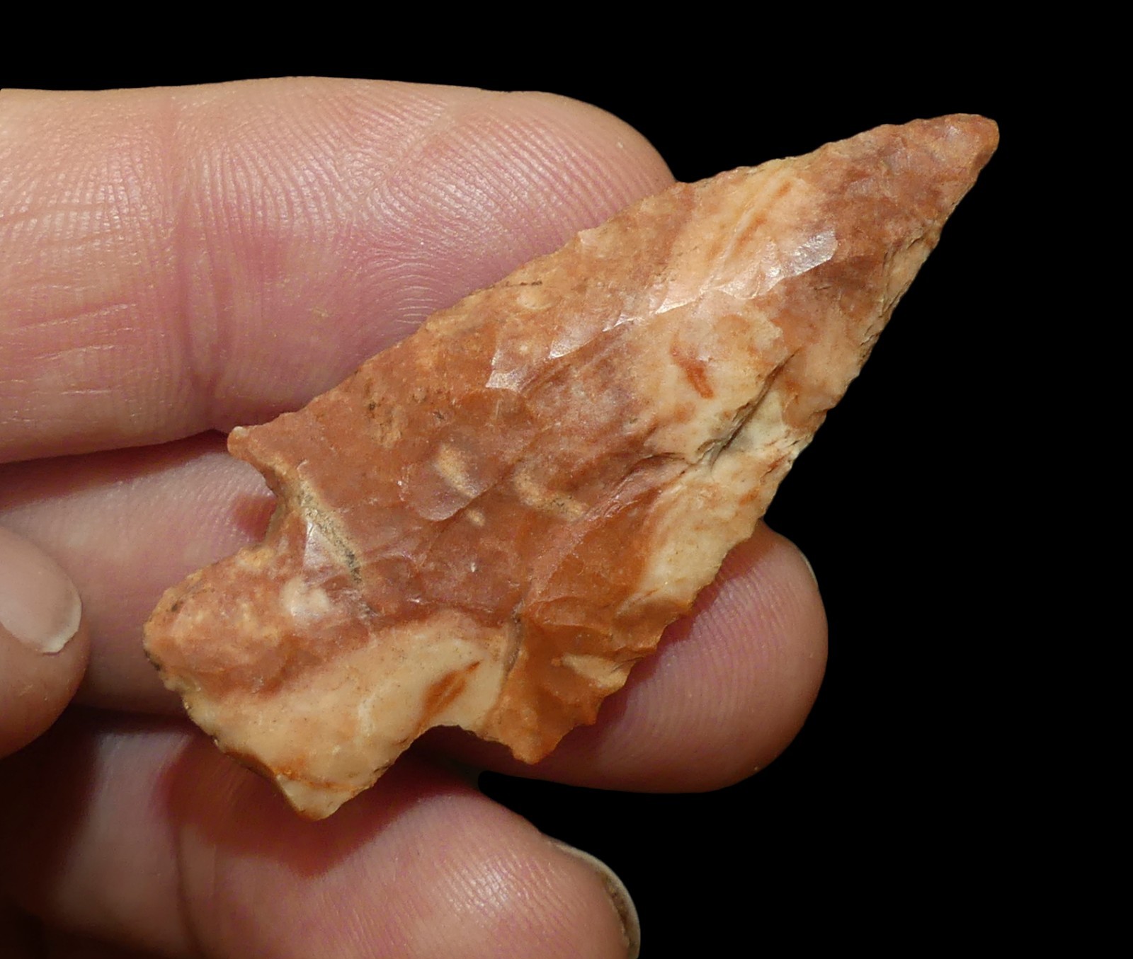 STEMMED POINT ITAWAMBA CO MISSISSIPPI BUFFALO RIVER INDIAN ARROWHEAD ARTIFACT STEMMED POINT ITAWAMBA CO MISSISSIPPI BUFFALO RIVER INDIAN ARROWHEAD ARTIFACT