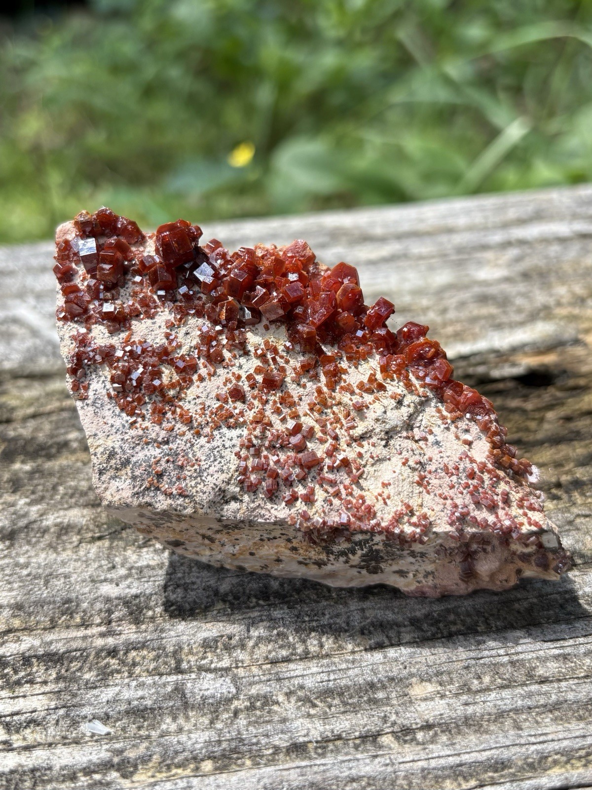 Natural Red Vanadinite Crystal- Raw Bright Red 3.2” Vanadinite Crystal Cluster