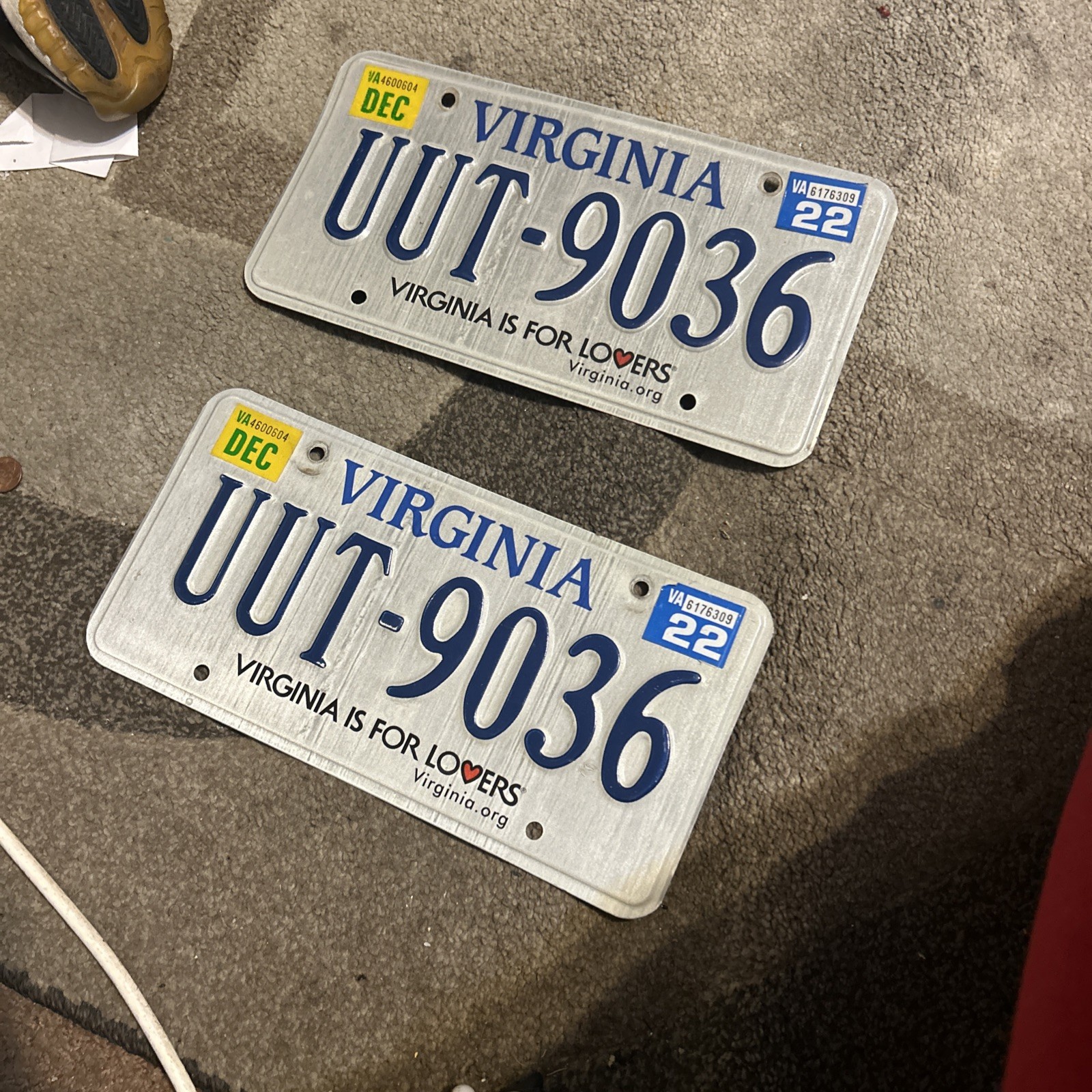 Virgina License Plate Random Virgina Is for Lovers Virgina License Plate Random Virgina Is for Lovers