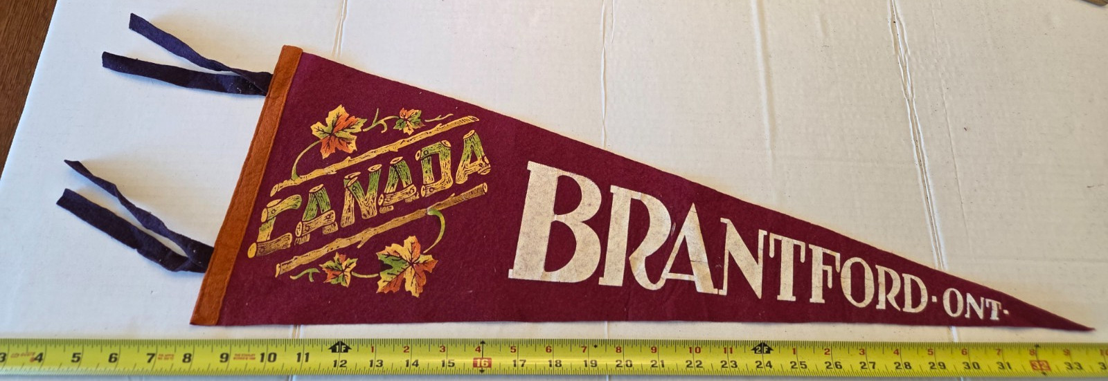 VINTAGE BRANTFORD ONTARIO CANADA FELT PENNANT 26\