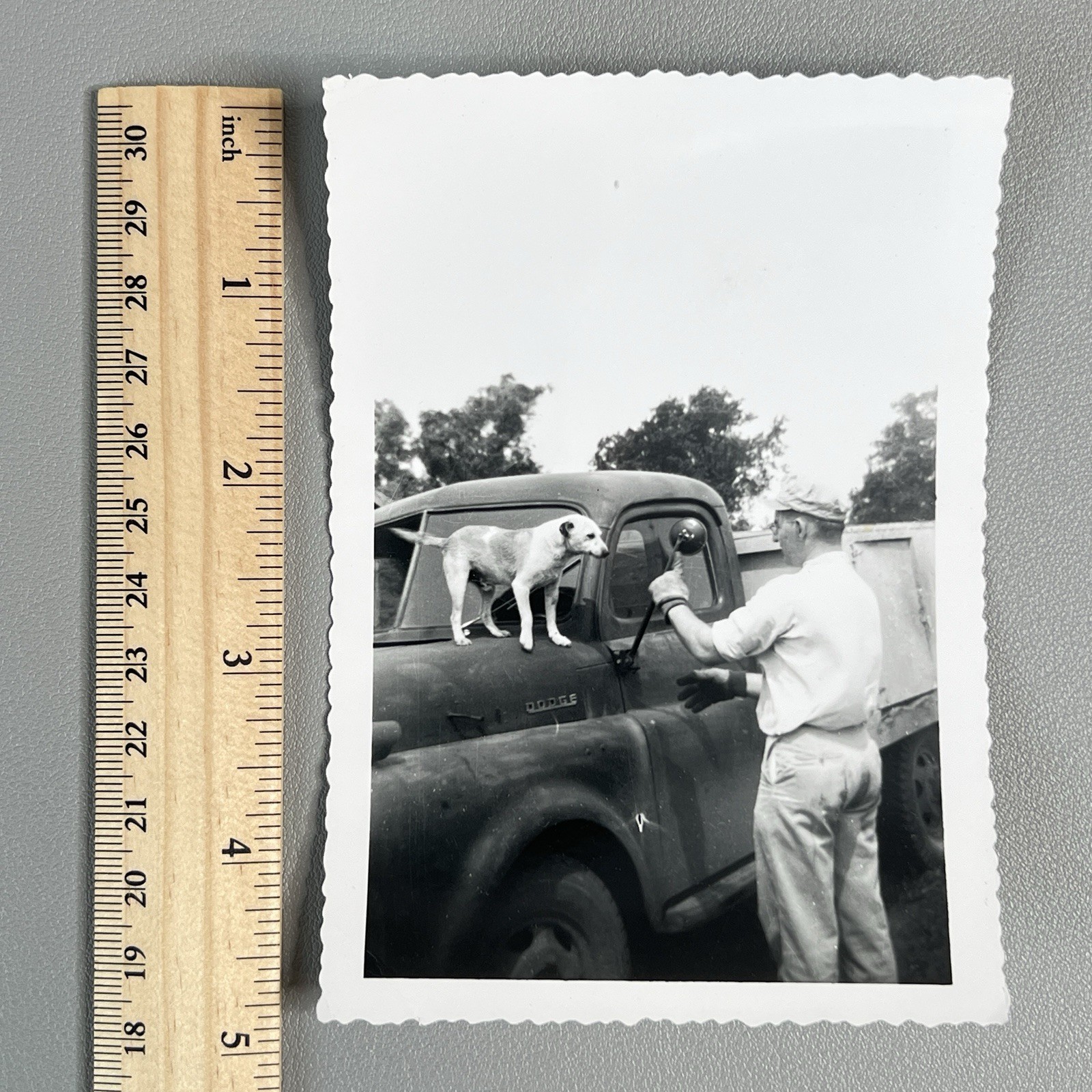 Vtg 1954 Dodge Job-Rated Truck Photo \