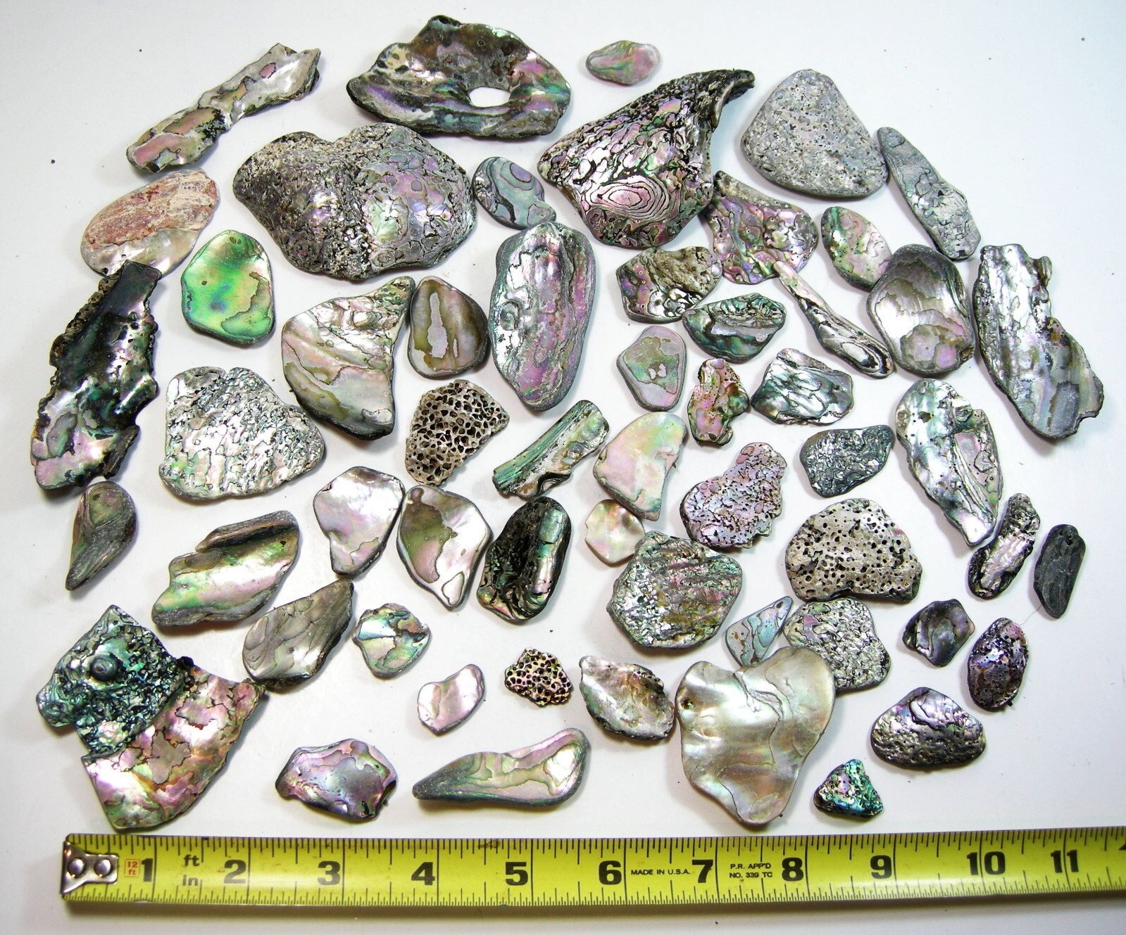 50 CUSTOMIZED Nor California Surf Polished Abalone Pieces for Jewelry Making