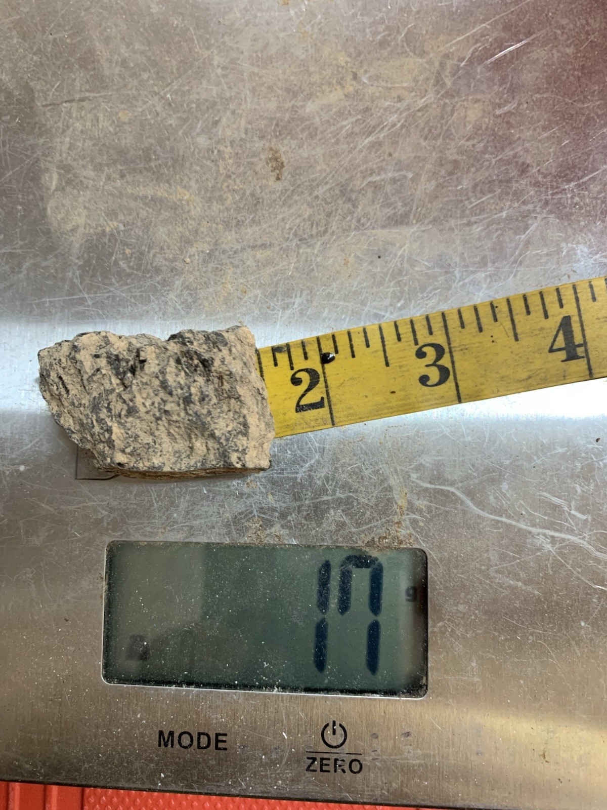 TENNESSEE Extremely Rare 17g lot US CretaceousRough-CoffeeSandFm