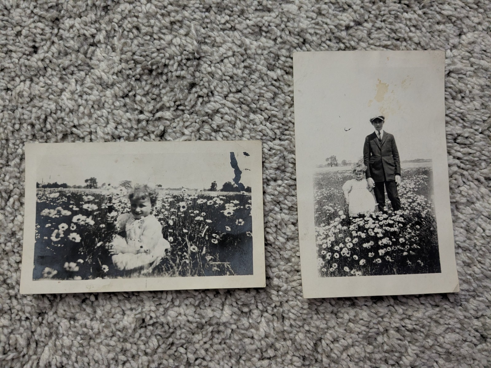 Vintage Early 1920s Lot Of 2 Boy And Little Girl In Field Of Flowers Photographs