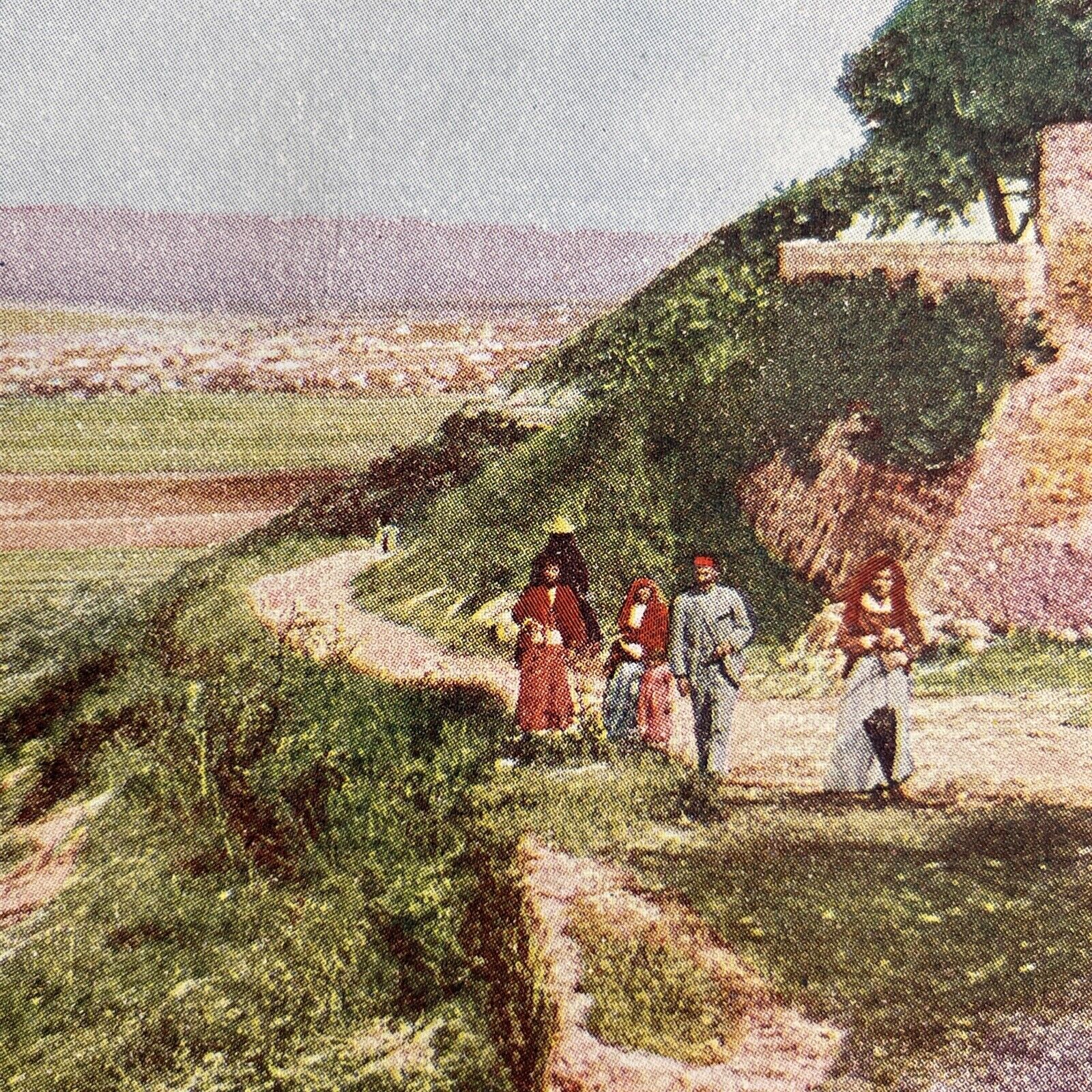 Antique 1904 Haifa Palestine Israel & Mt Carmel Stereoview Photo Card P580-098