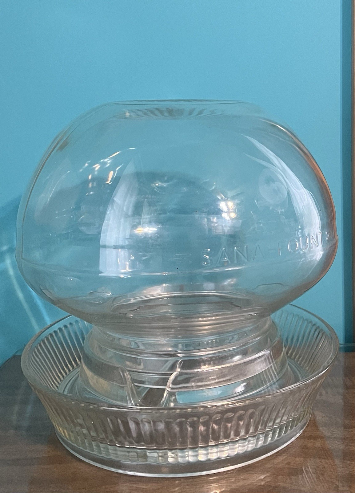 Vntg Clear Glass Sana-Fount Poultry Waterer/Feeder with Anderson Base, A-3