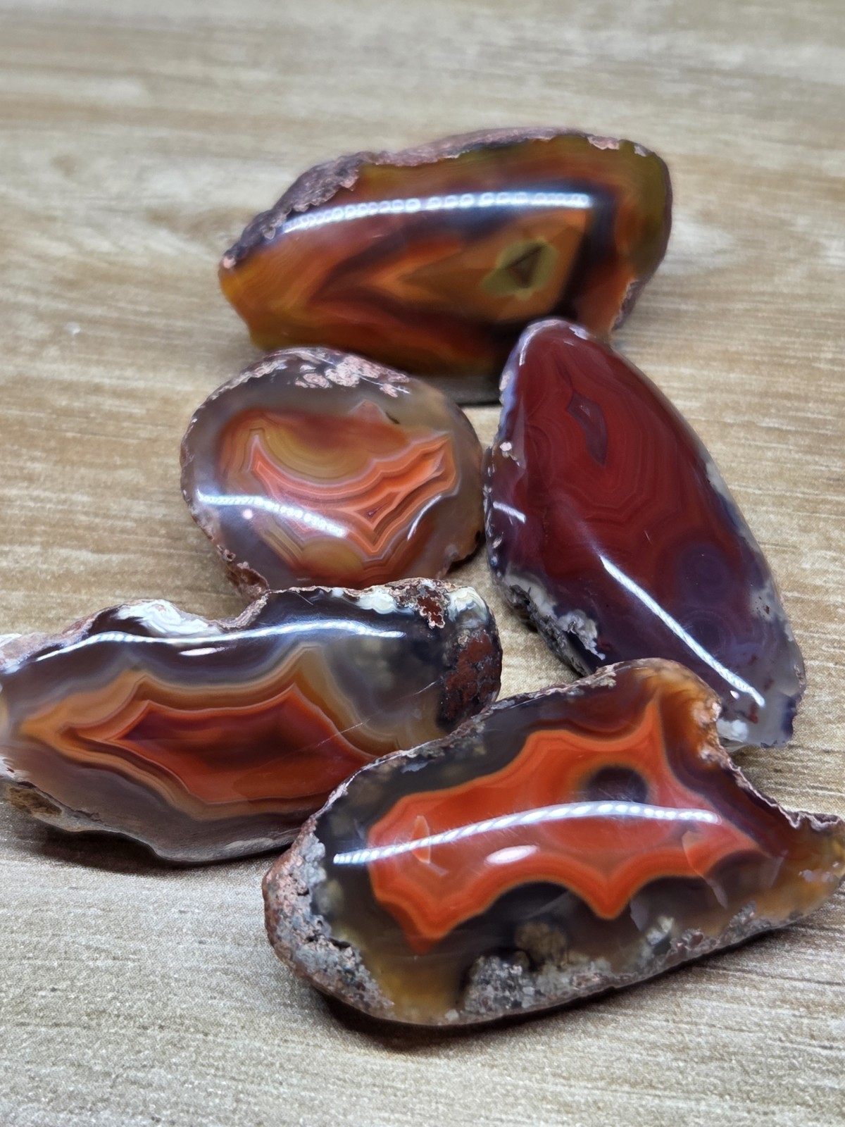 Baby Malawi Agate Lot of 5 / Small Natural Banded stones / Polished halves