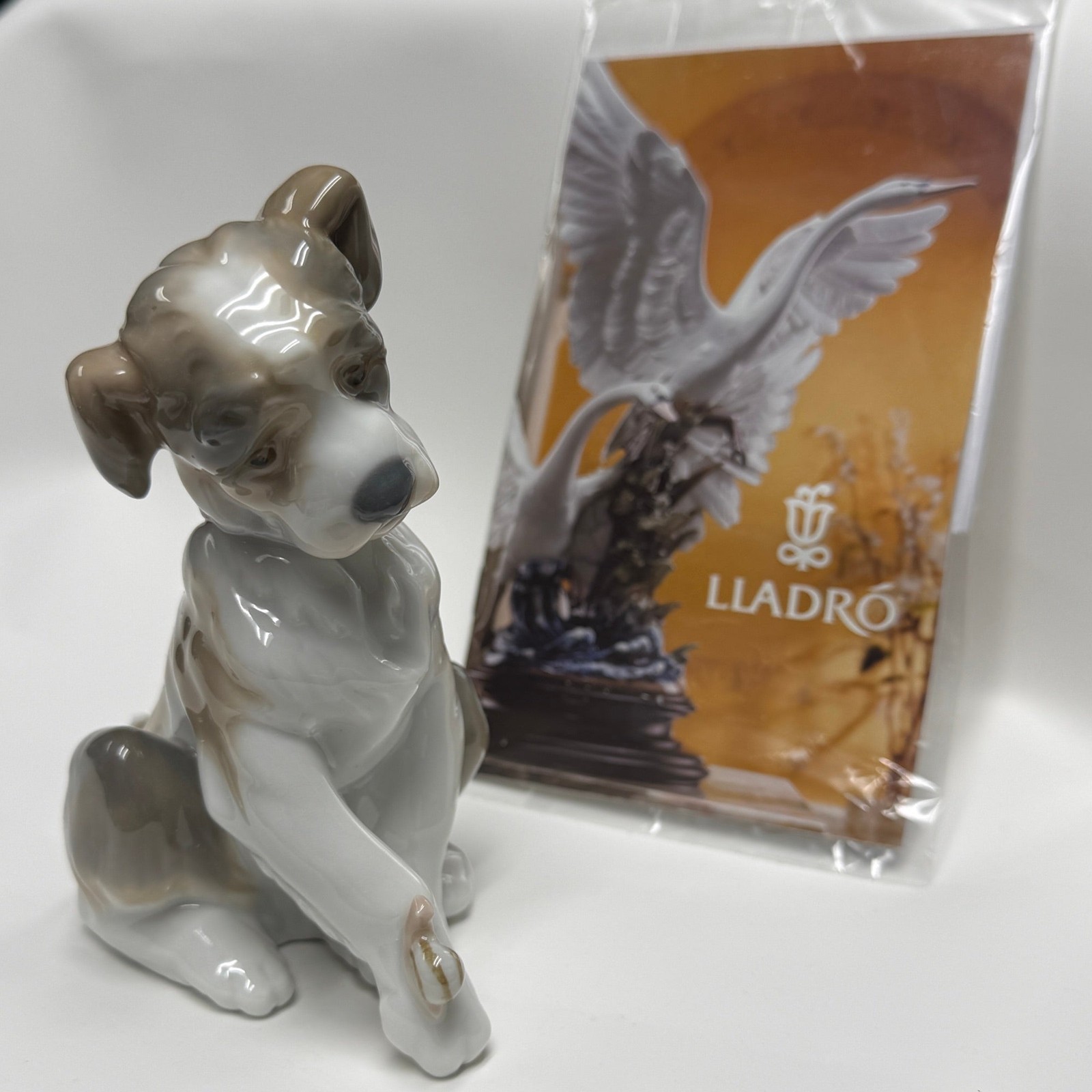 Vintage Lladro New Friend Figurine 6211 Porcelain Puppy with Snail Original Box