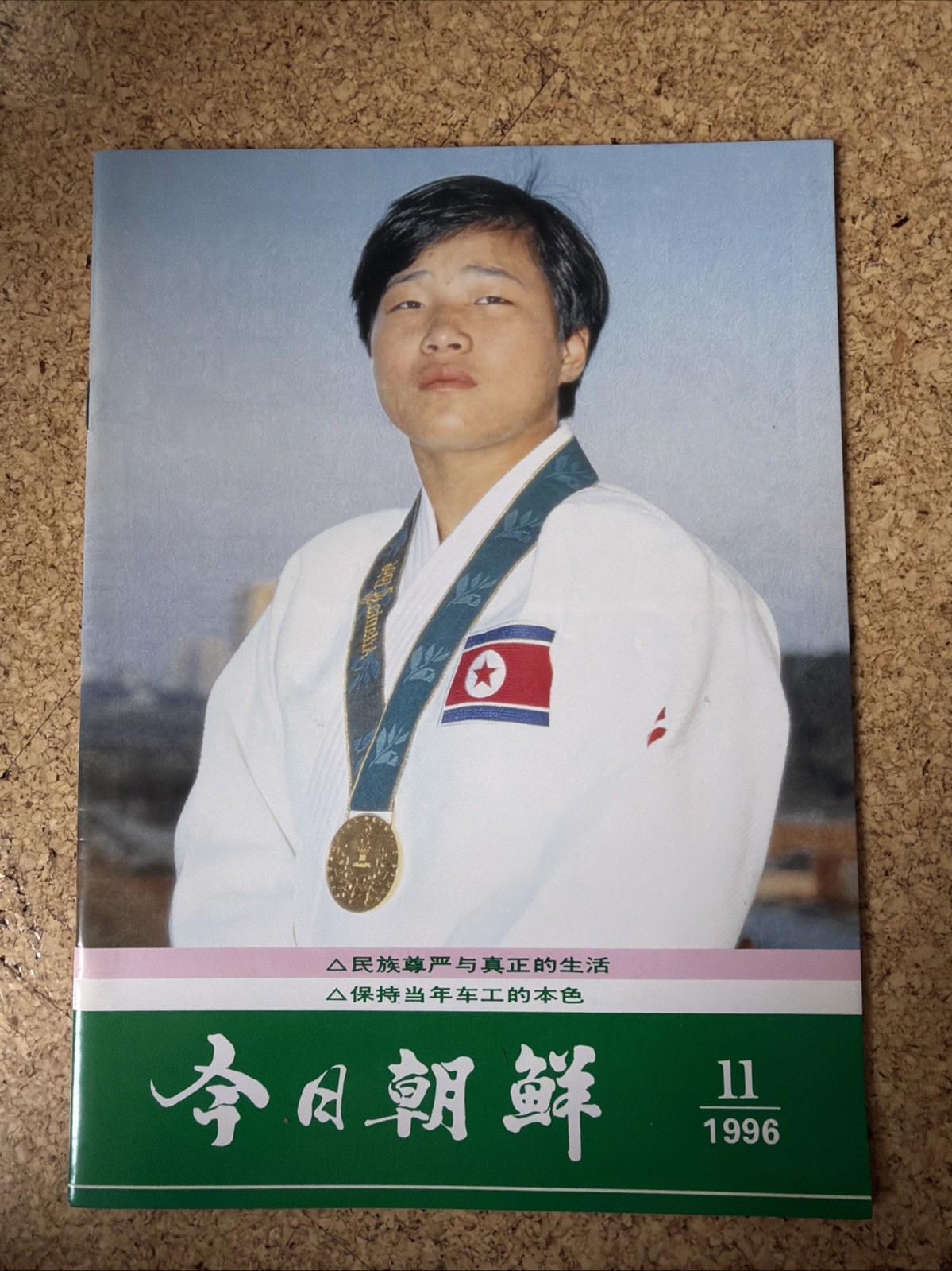 Today's Korea November 1996 Vintage Chinese Magazine Olympic Judo Gold