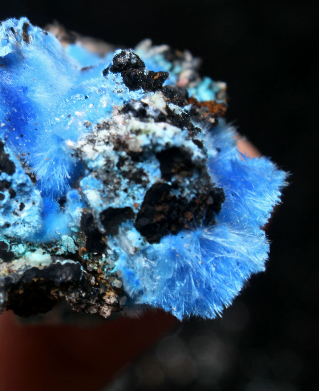 42g Natural Blue Cyanotrichite on Matrix from Mineral Specimen/China 1