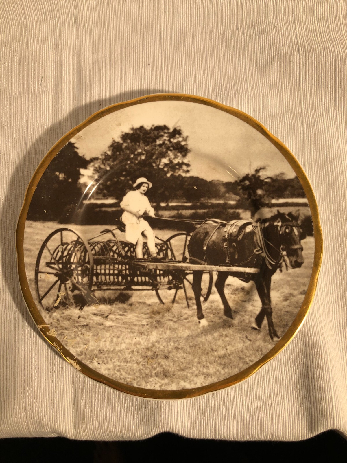 Pony and Horse Rake 1940 Agriculture Series, Nelson Fine Bone China Pony and Horse Rake 1940 Agriculture Series, Nelson Fine Bone China