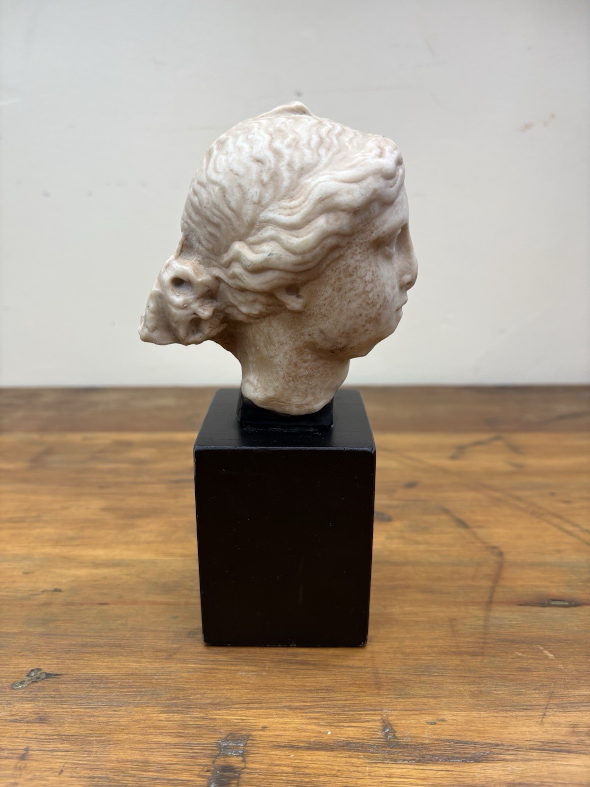 Vintage Freud Museum London Bust Ciba Geigy Classical Greek Goddess Statue Head 