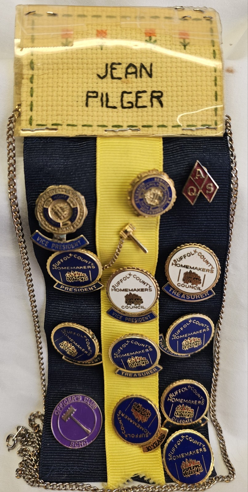 Vintage Suffolk County Homemakers Council Pin Button Lot President Treasury More