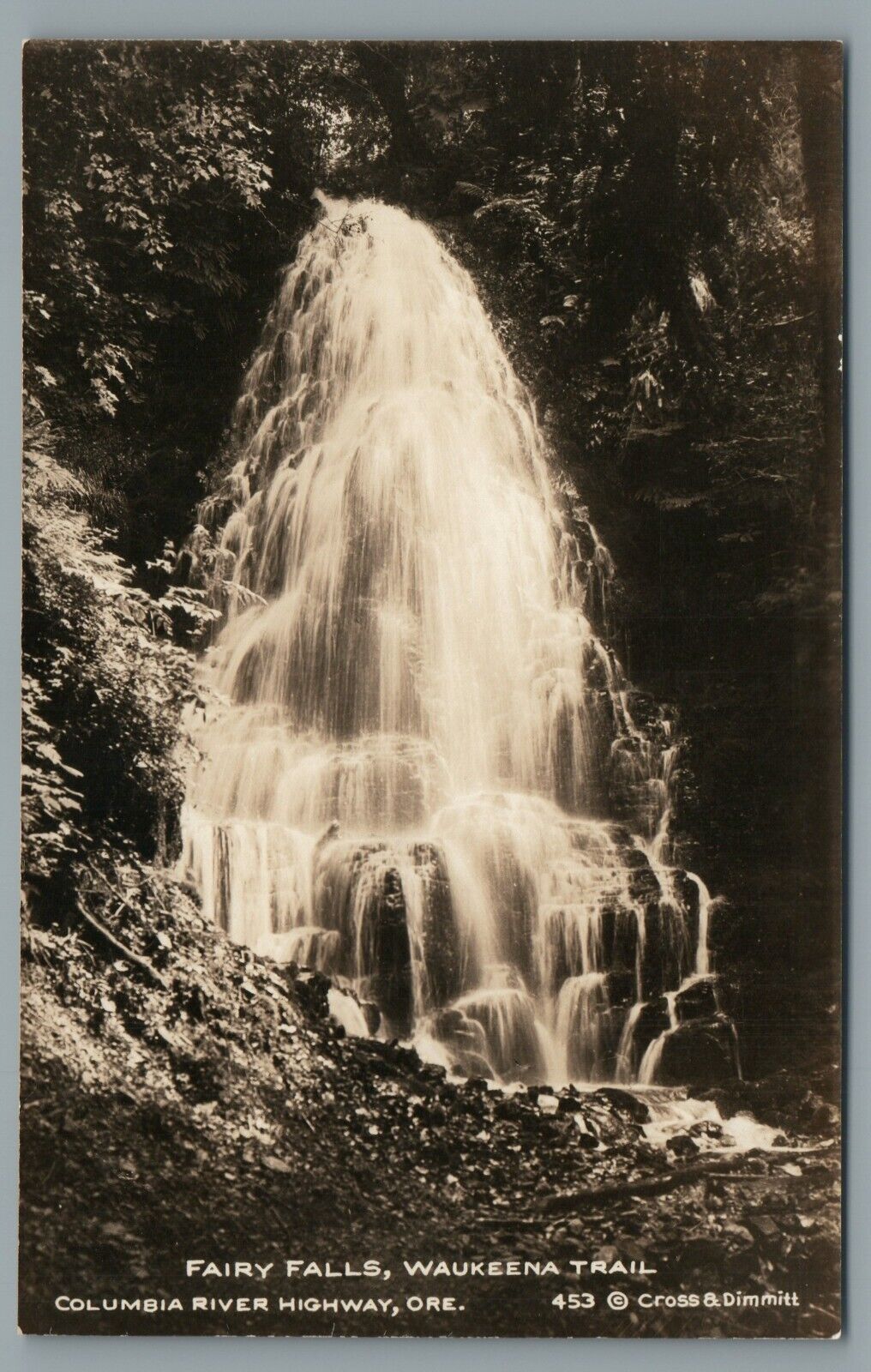 Fairy Falls Waukeena Trail Columbia River Hwy ORE. Cross & Dimmitt RPPC Postcard