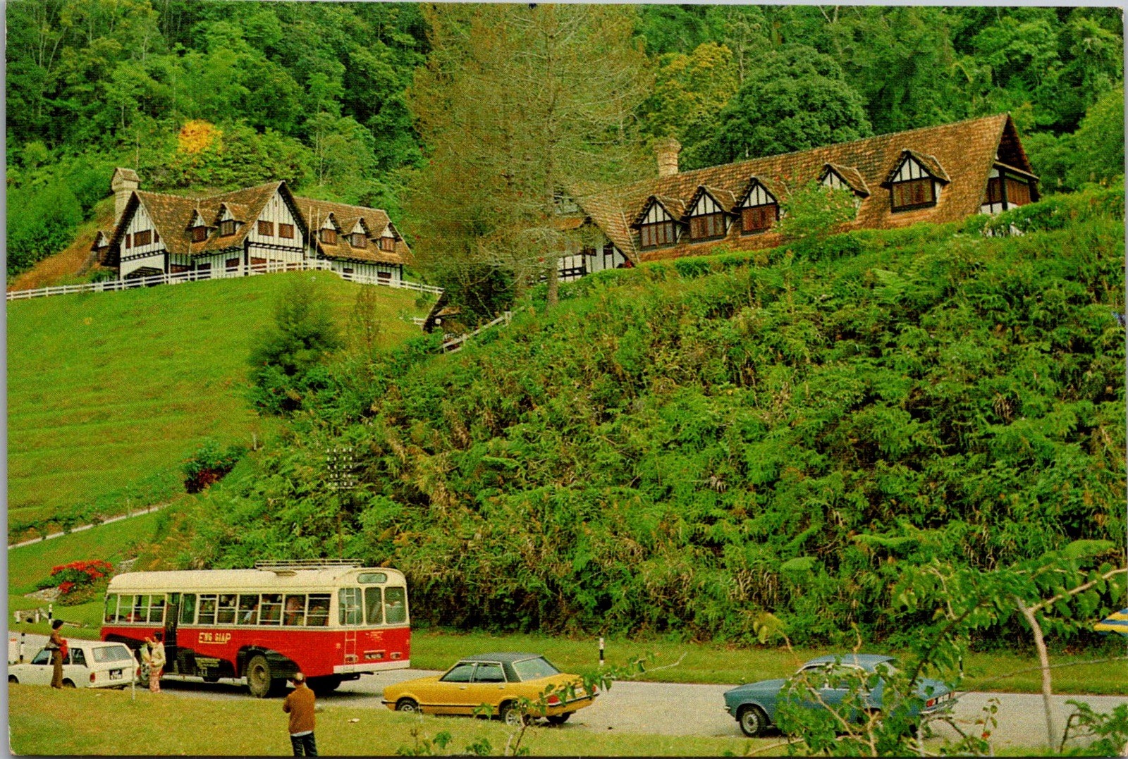 Fosters Lakehouse Hotel Cameron Highlands Malaysia Scenic Stamp Vintage Postcard