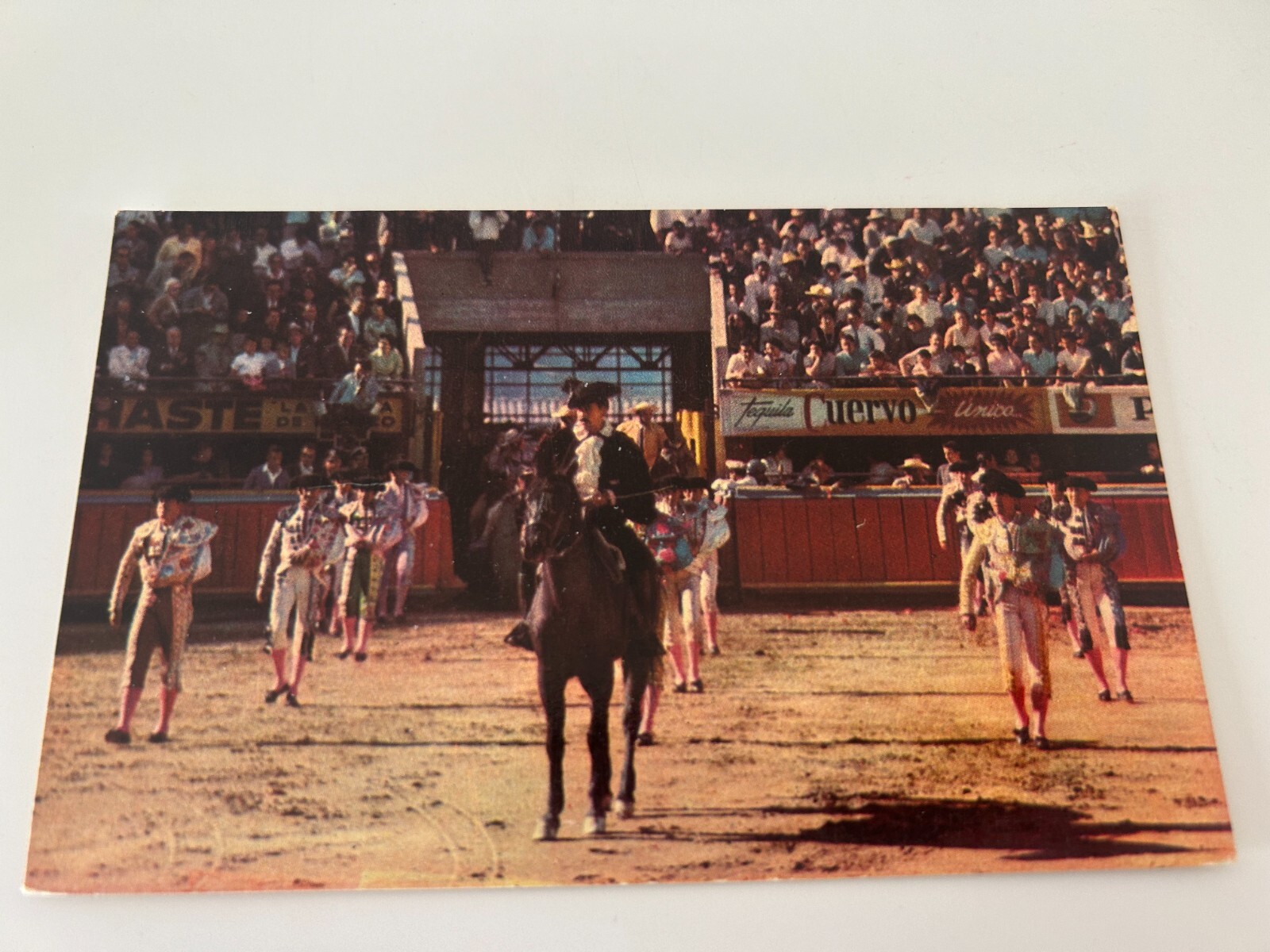 Toros en Mexico DF Mexico City Postcard