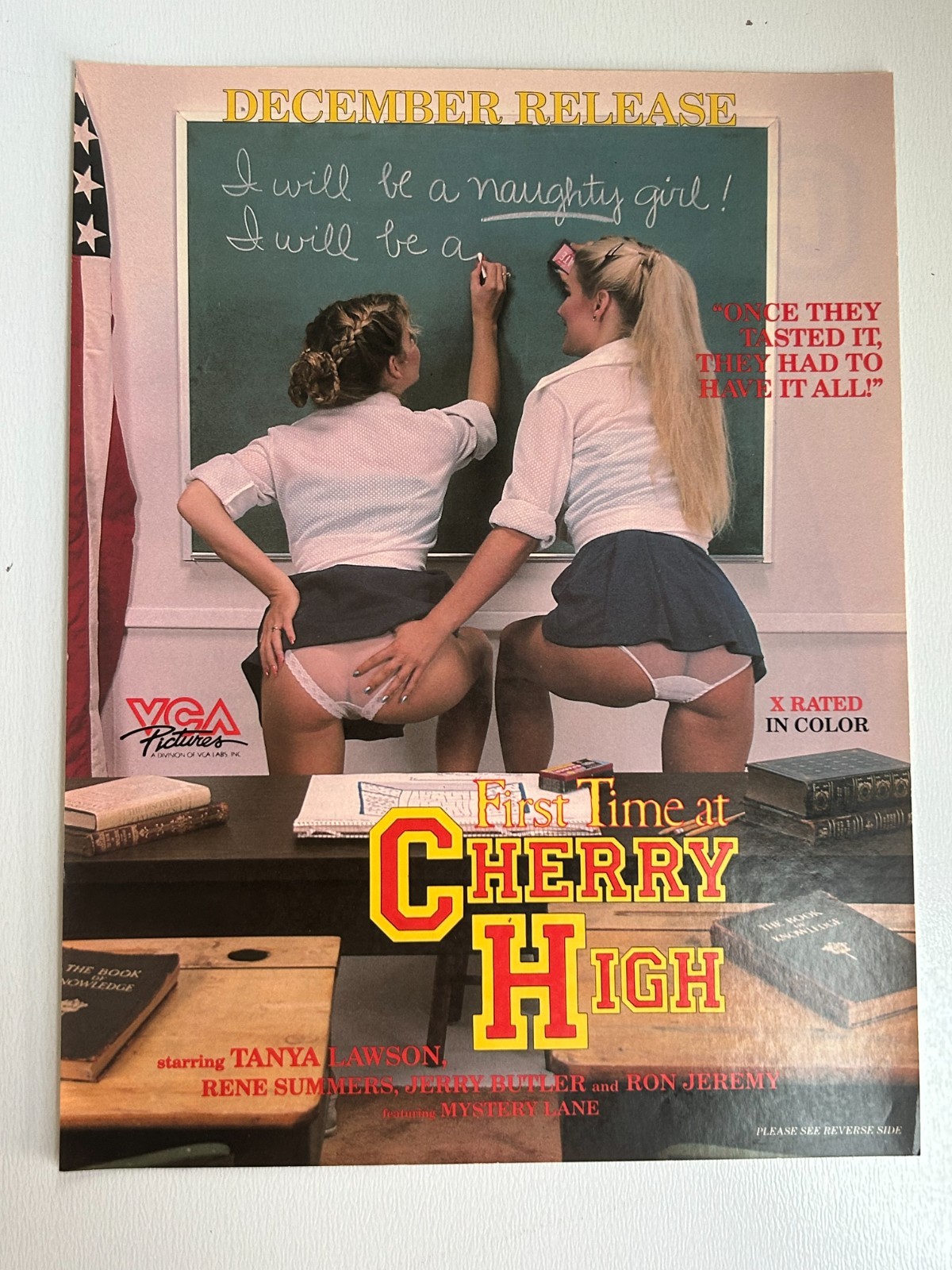 1984 First Time at Cherry High VCA Original Adult Movie Press Sheet Tanya Lawson