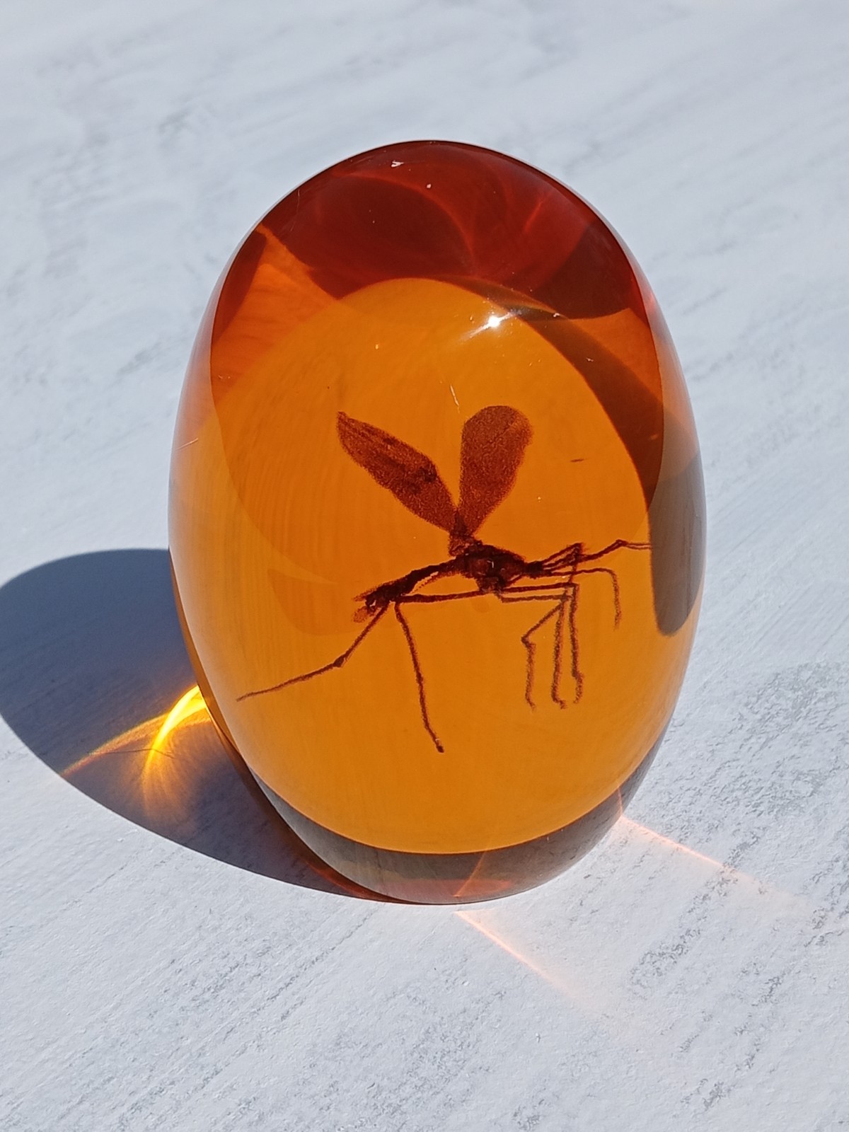 Jurassic Park Mosquito in Amber Replica Resin Paperweight. Replica Fossil 
