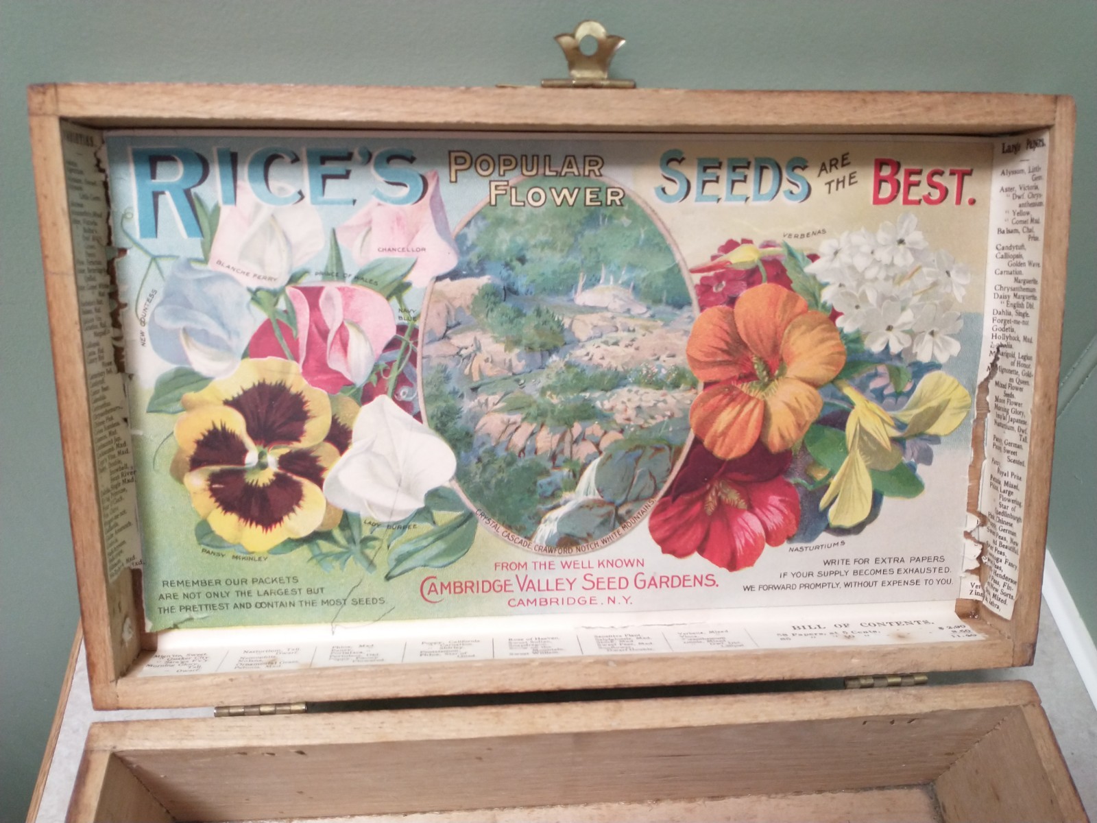 1895 RICE'S FLOWER SEEDS WOOD DISPLAY BOX CAMBRIDGE NY RARE NH WHITE MOUNTAINS 1895 RICE'S FLOWER SEEDS WOOD DISPLAY BOX CAMBRIDGE NY RARE NH WHITE MOUNTAINS
