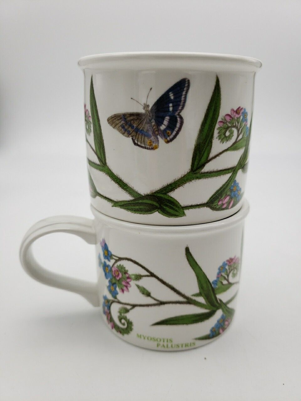 The Botanic Garden Portmeirion 1972 Myosotis Palustris Tea Cup Set