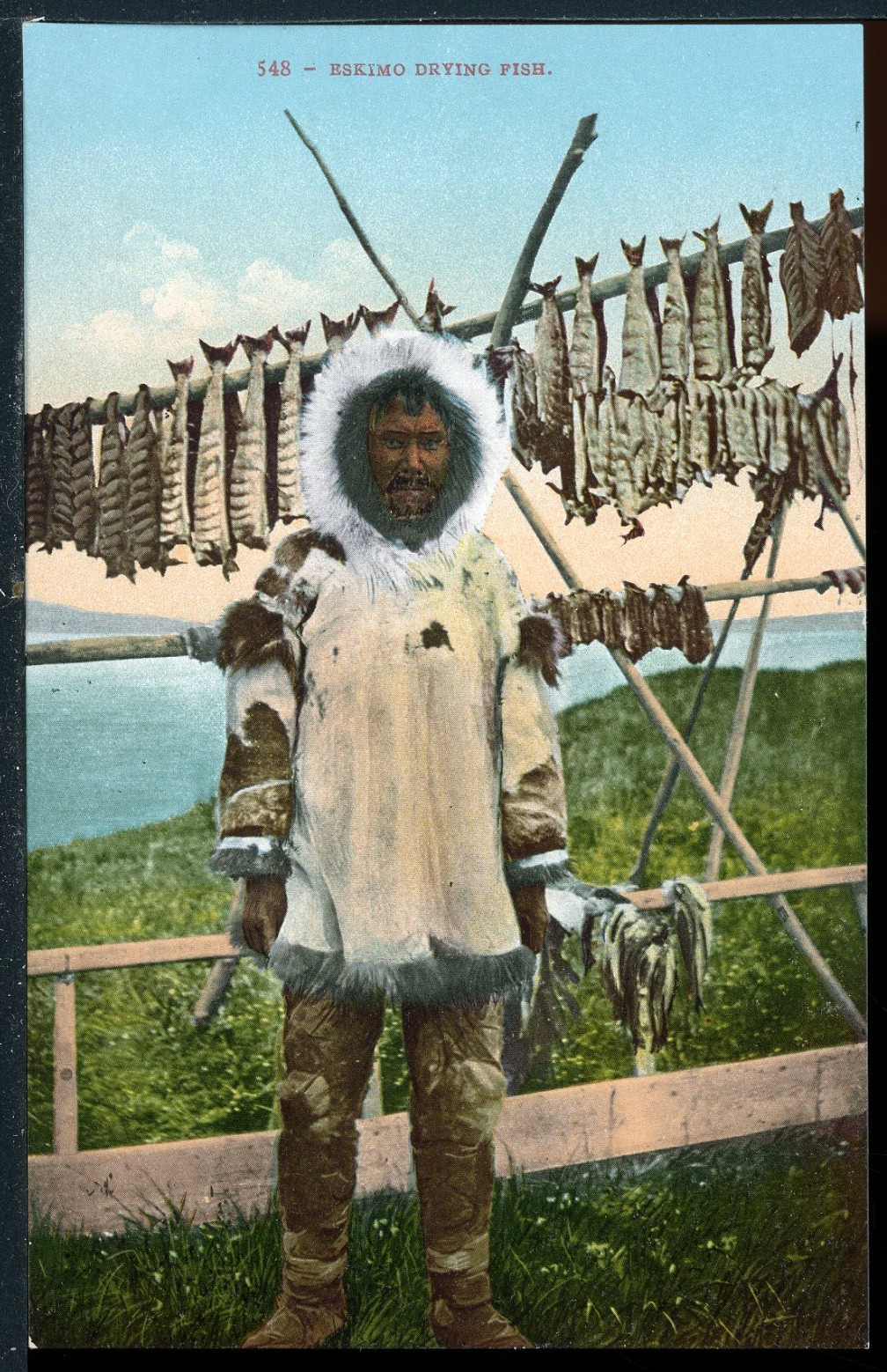 1900\'s An Eskimo Drying Fish Alaska Vintage Mitchell 548 Postcard A991