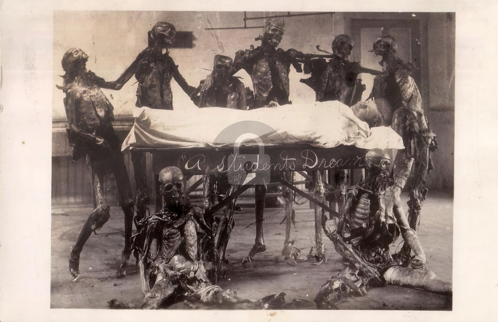 Strange Medical a Student\'s Dream Macabre Rite RPPC Photo Postcard COPY