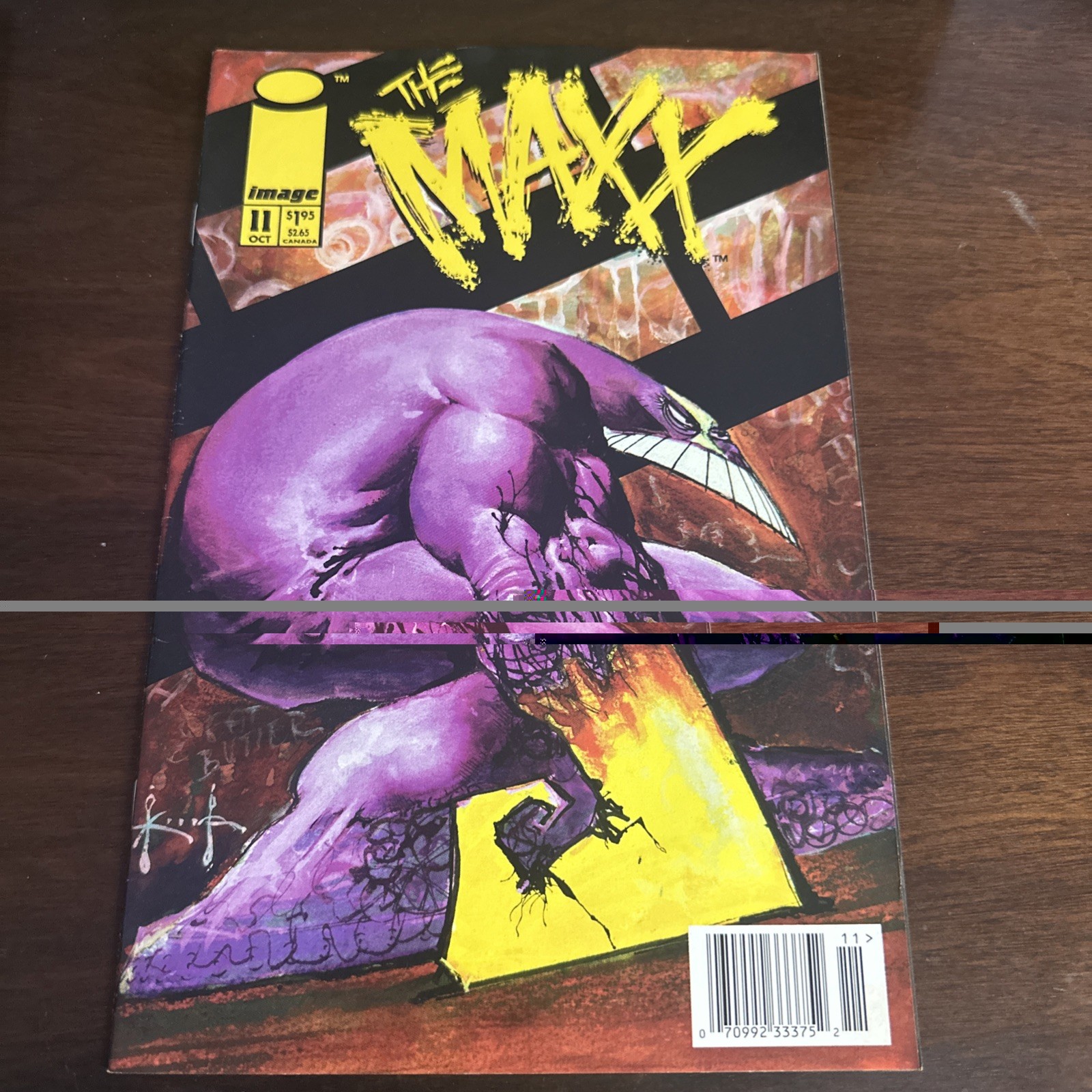 The Maxx #11 Image Comics Sam Kieth 1994 High Grade The Maxx #11 Image Comics Sam Kieth 1994 High Grade