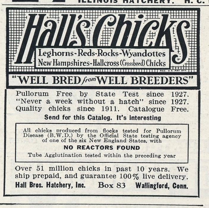 Magazine Ad - 1941 - Hall Brothers Hatchery - Chicks - Wallingford, CT- WW2