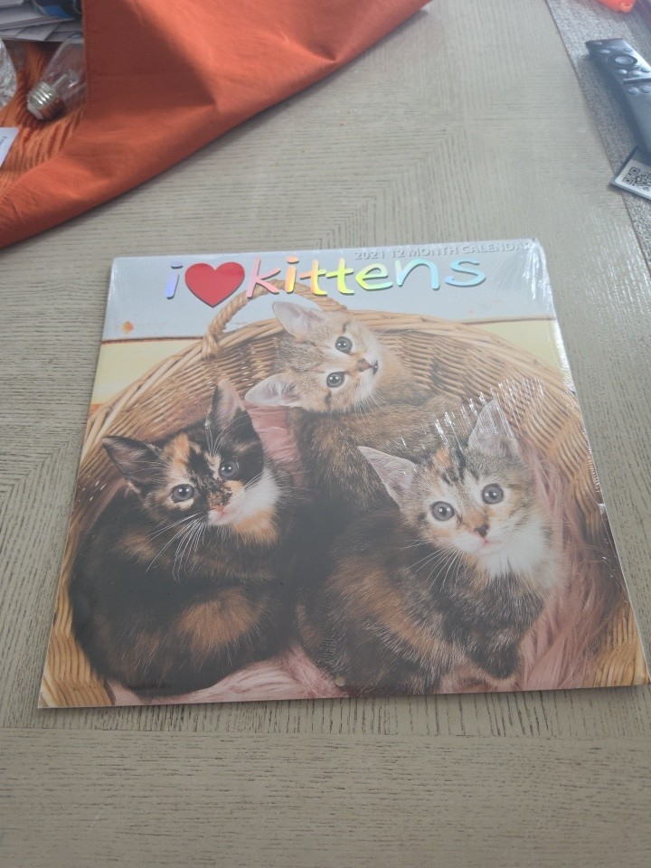 I Love Kittens 12 Month Wall Calendar 2021 12\ I Love Kittens 12 Month Wall Calendar 2021 12\