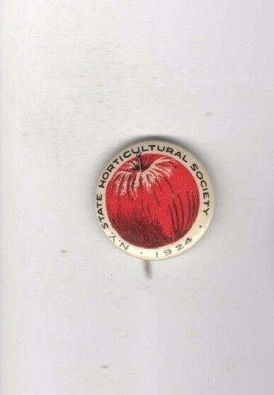 Vintage 1924 New York HORTICULTURAL Society pin APPLE Graphic pinback